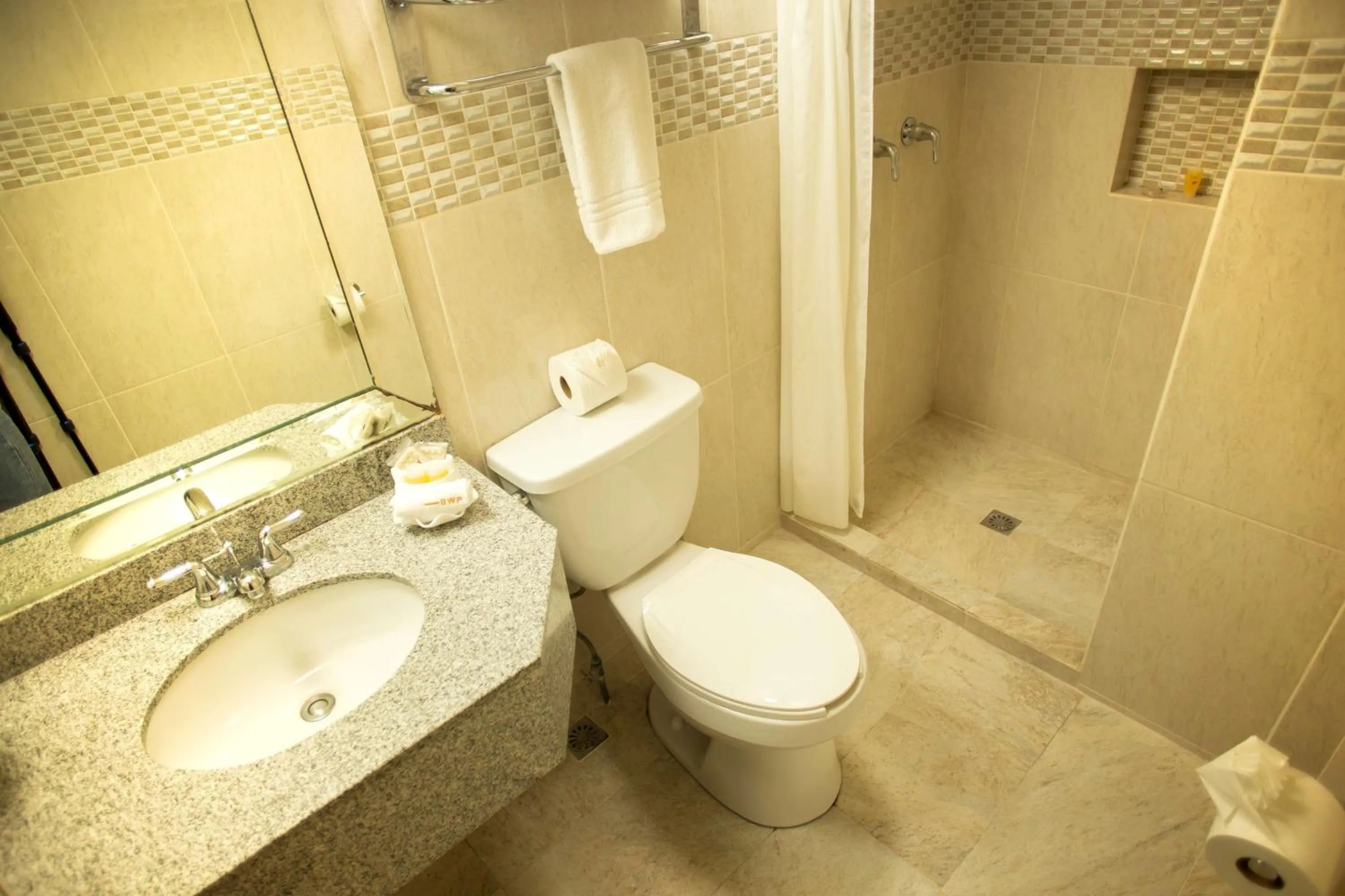 Photo of the whole room in Hotel Plaza Calzada