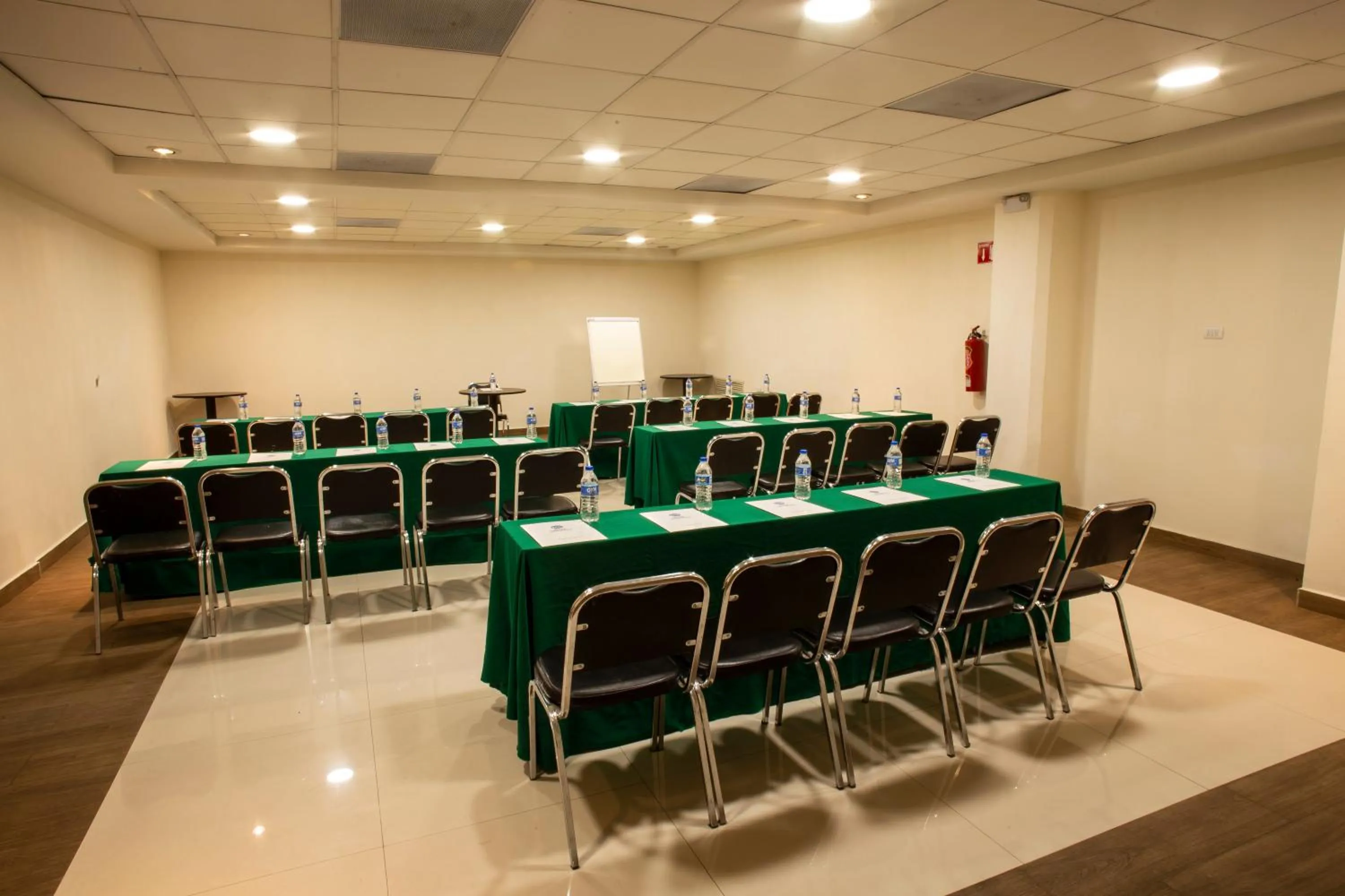 Business facilities in Hotel Plaza Calzada