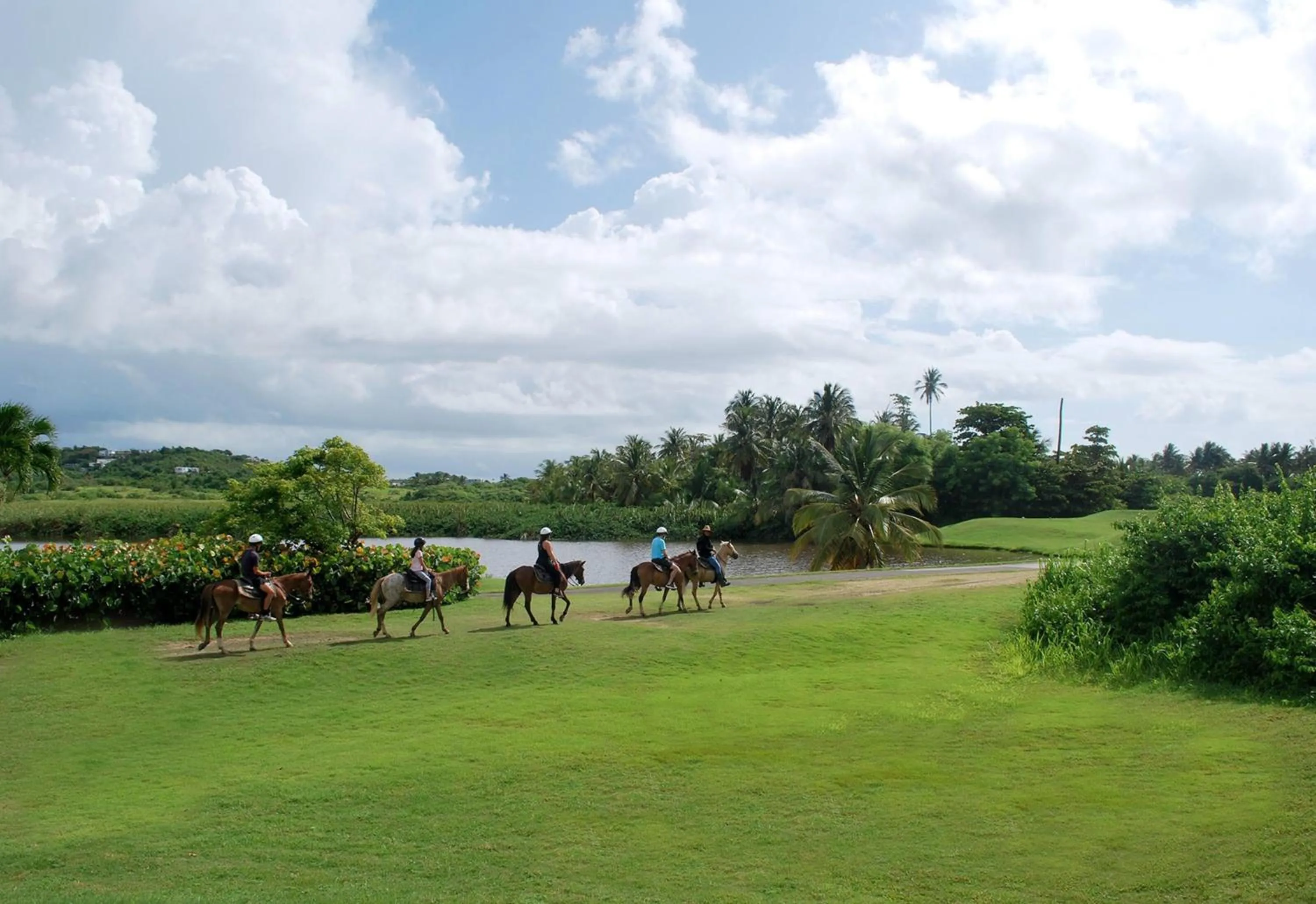 Horse-riding in Wyndham Palmas Beach and Golf Boutique Resort