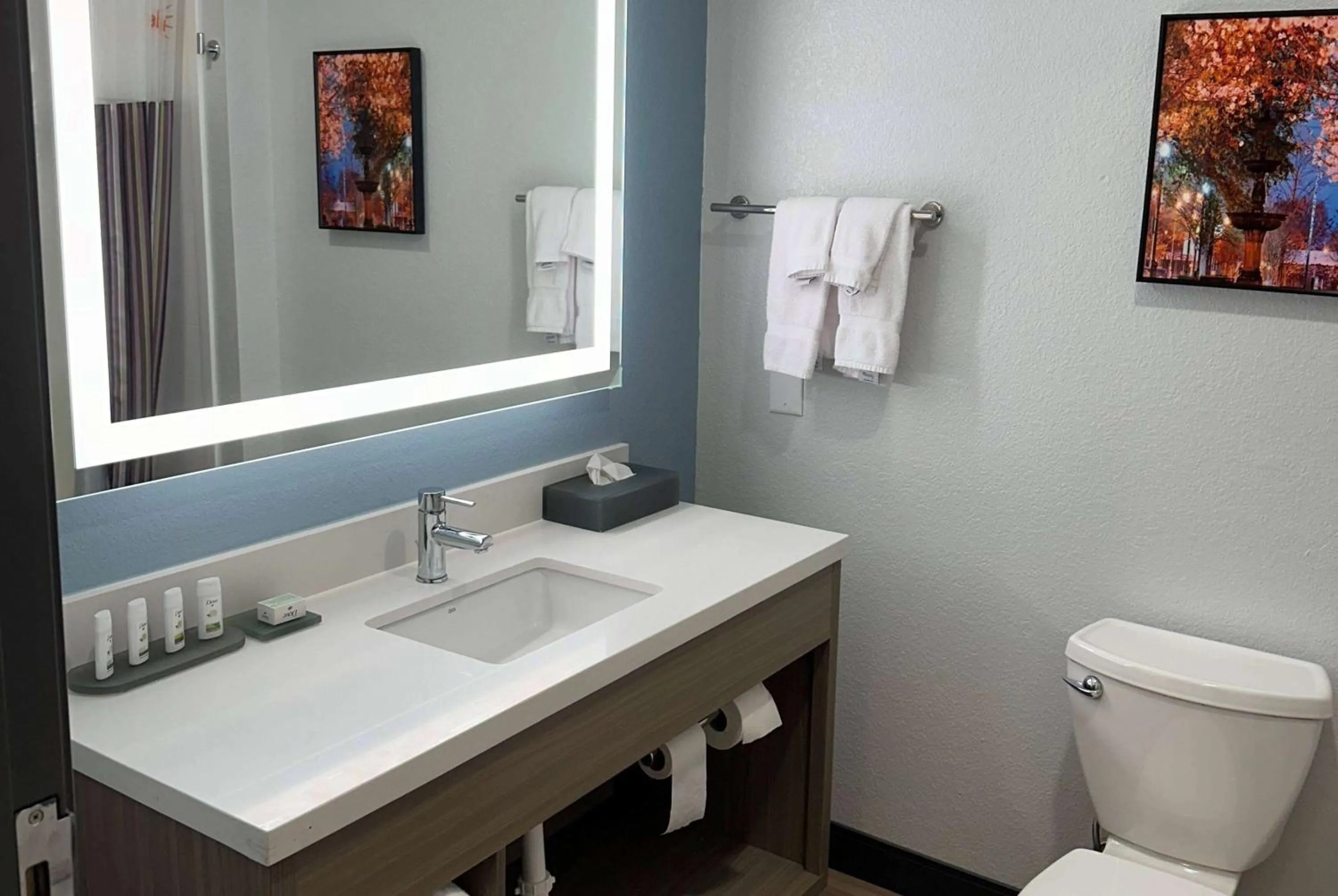 Bathroom in La Quinta by Wyndham Macon West