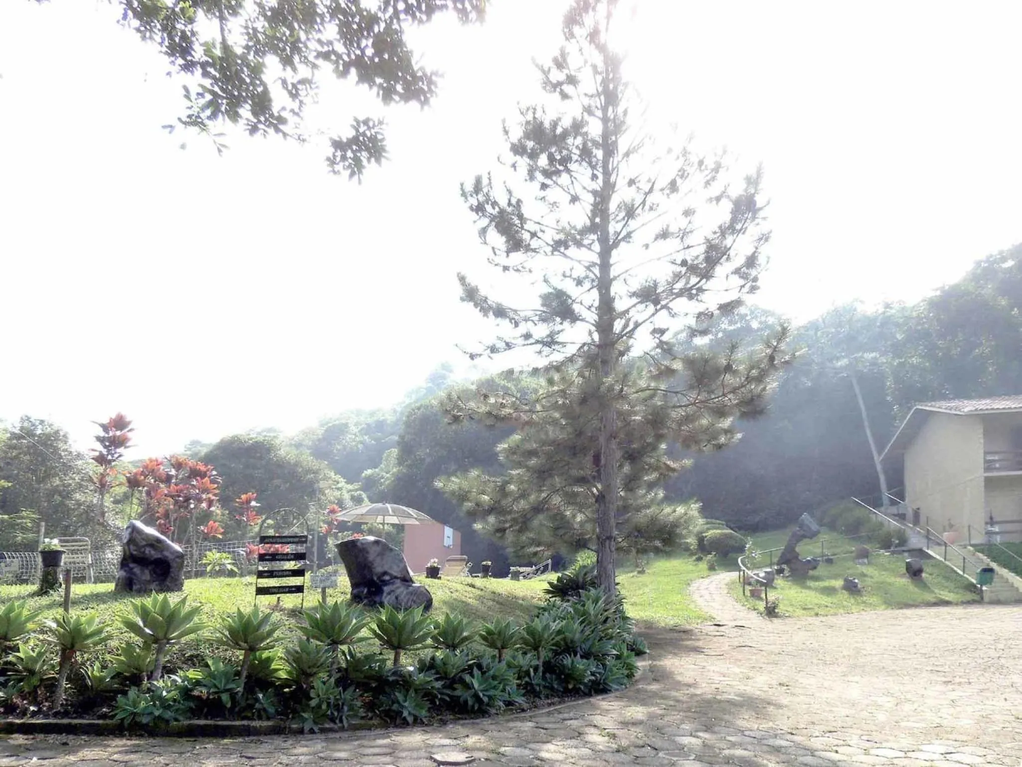 Garden in Pousada Juriti - Eco Hotel