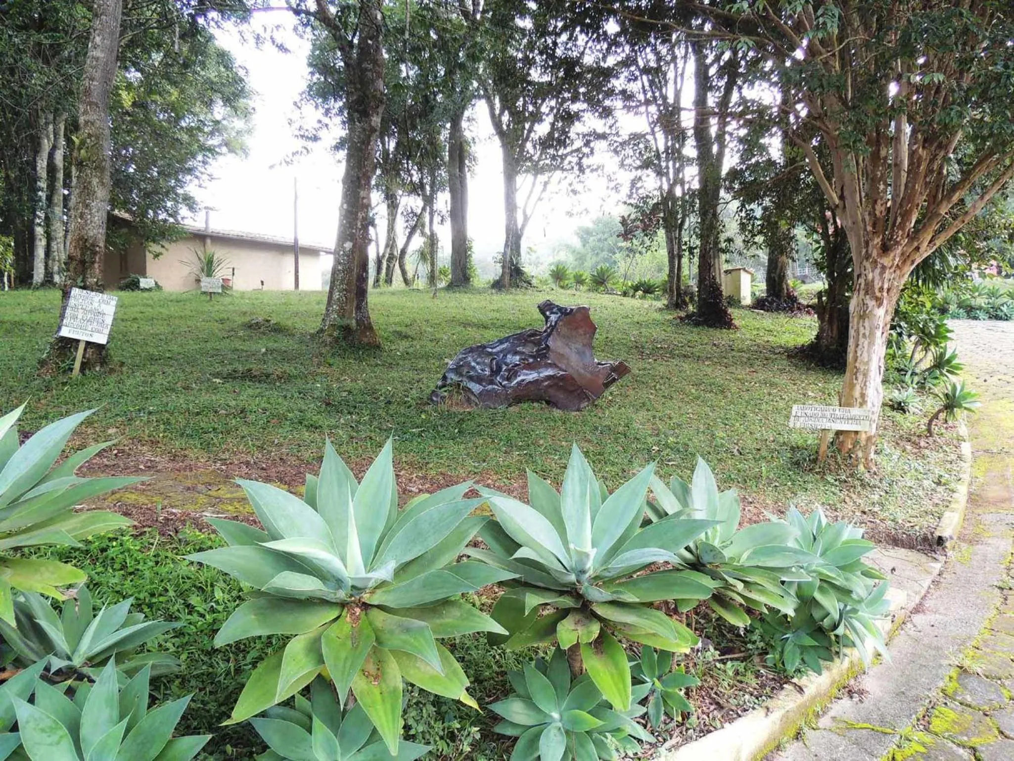 Garden in Pousada Juriti - Eco Hotel
