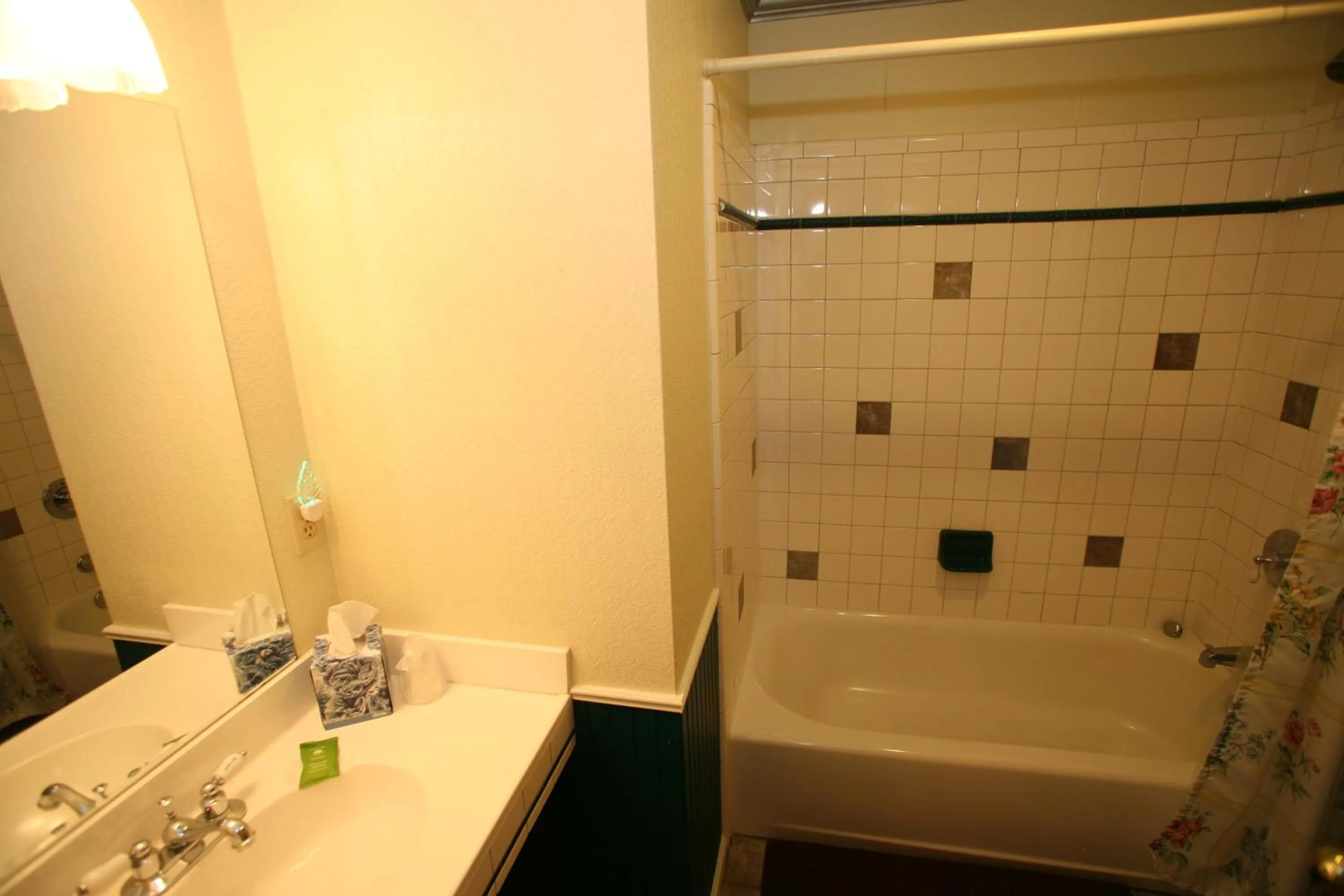 Bathroom in Frisco Lodge