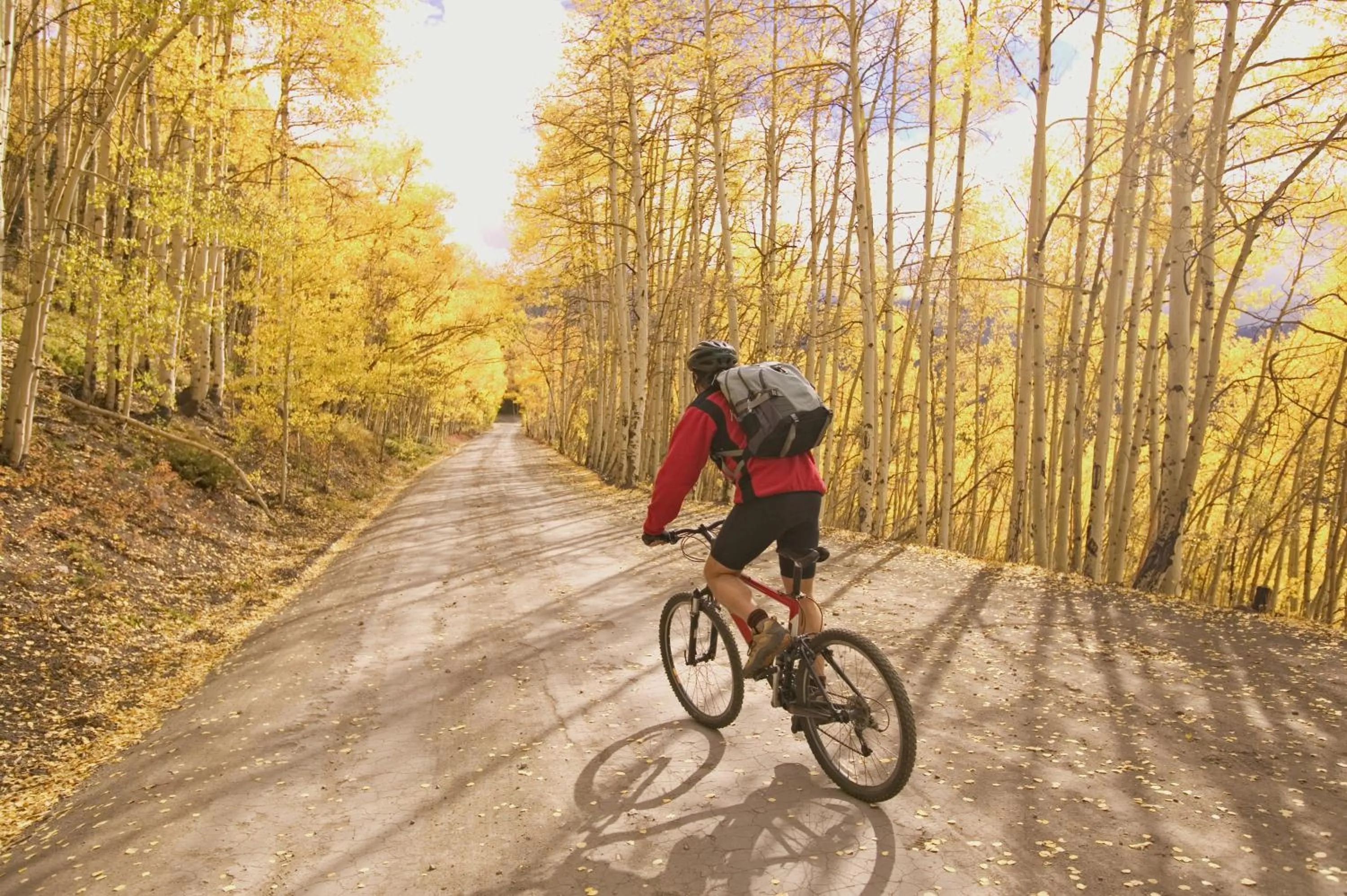 Cycling in Frisco Lodge