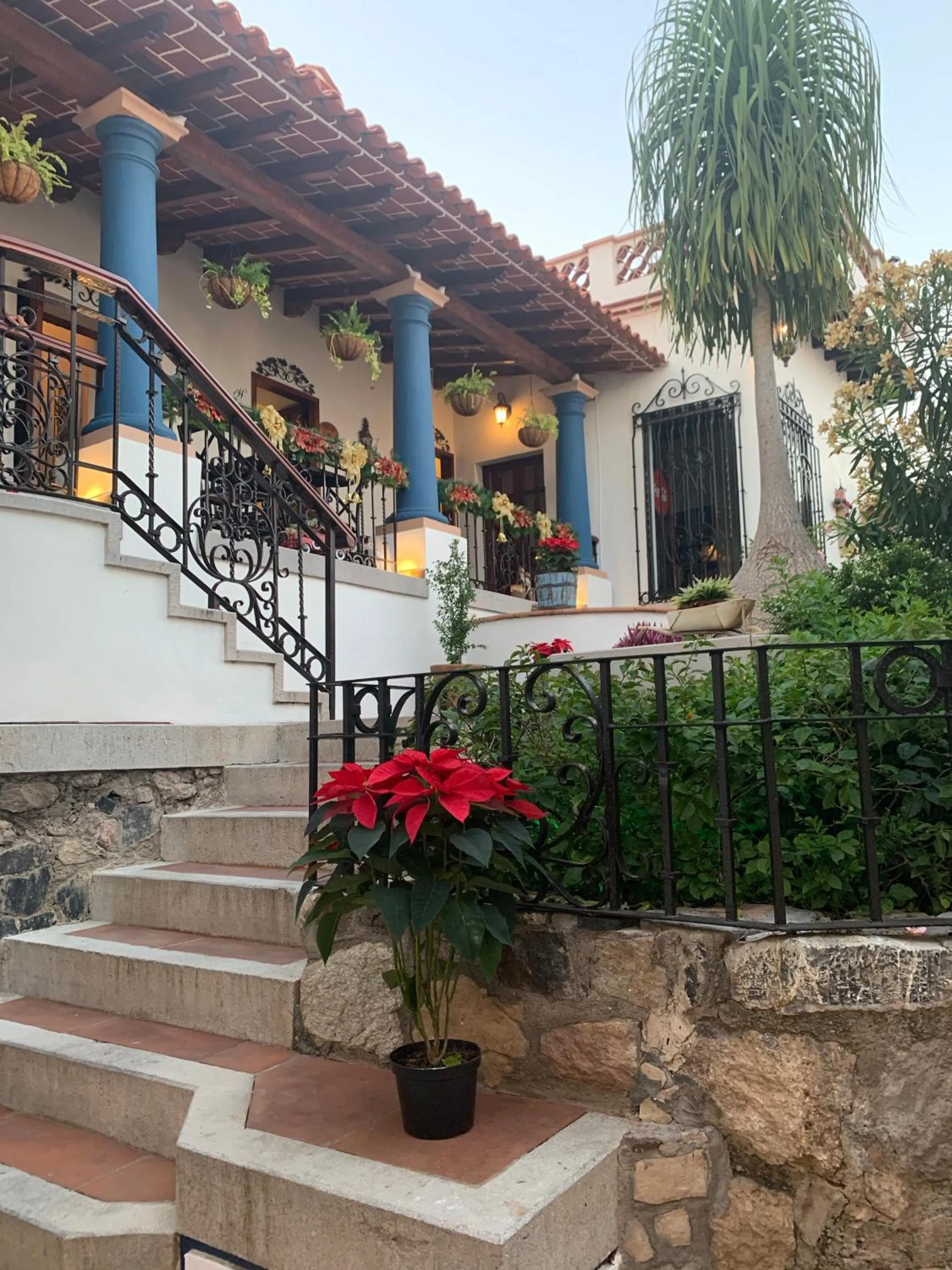 Patio in Hotel Santa Paula