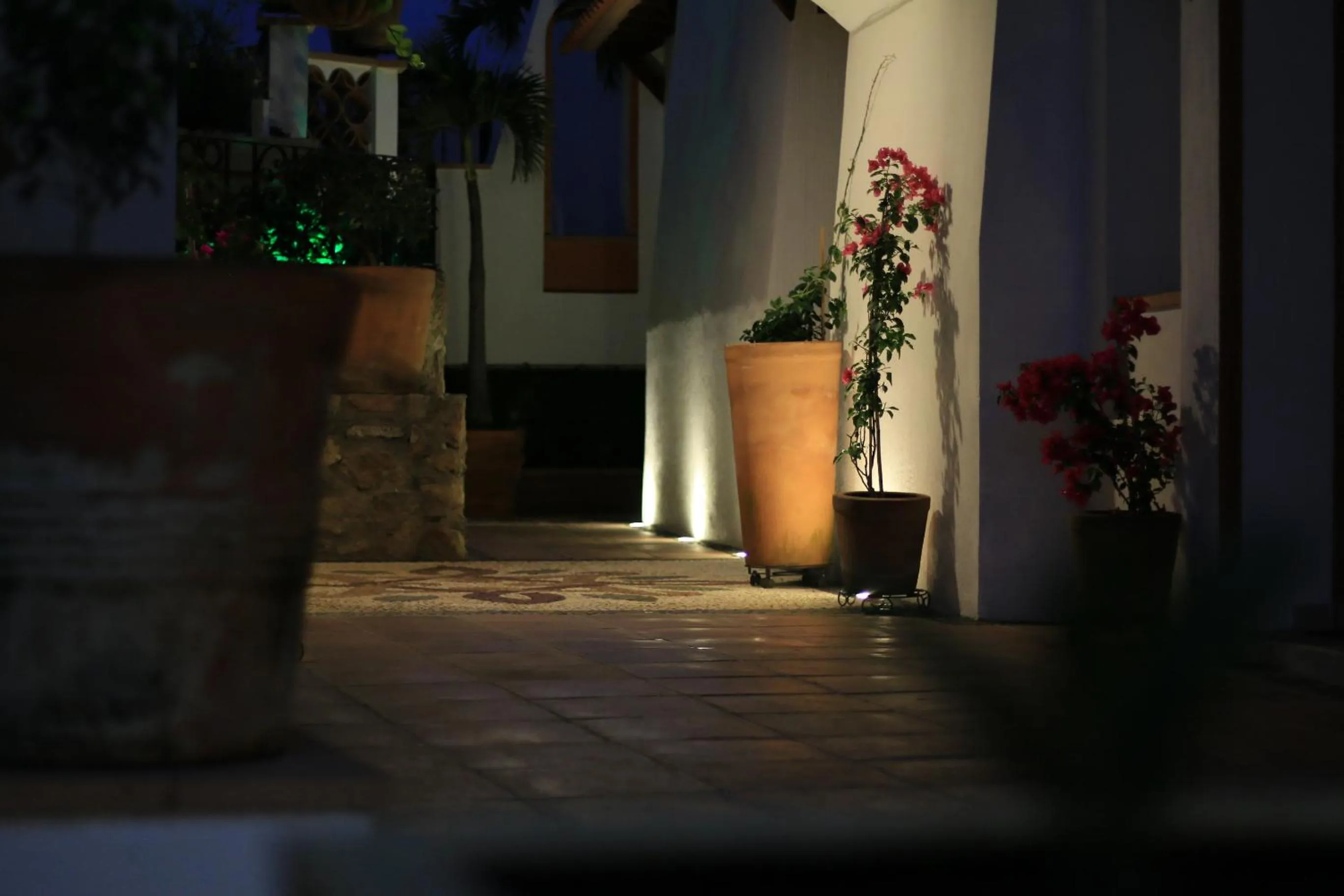 Patio in Hotel Santa Paula