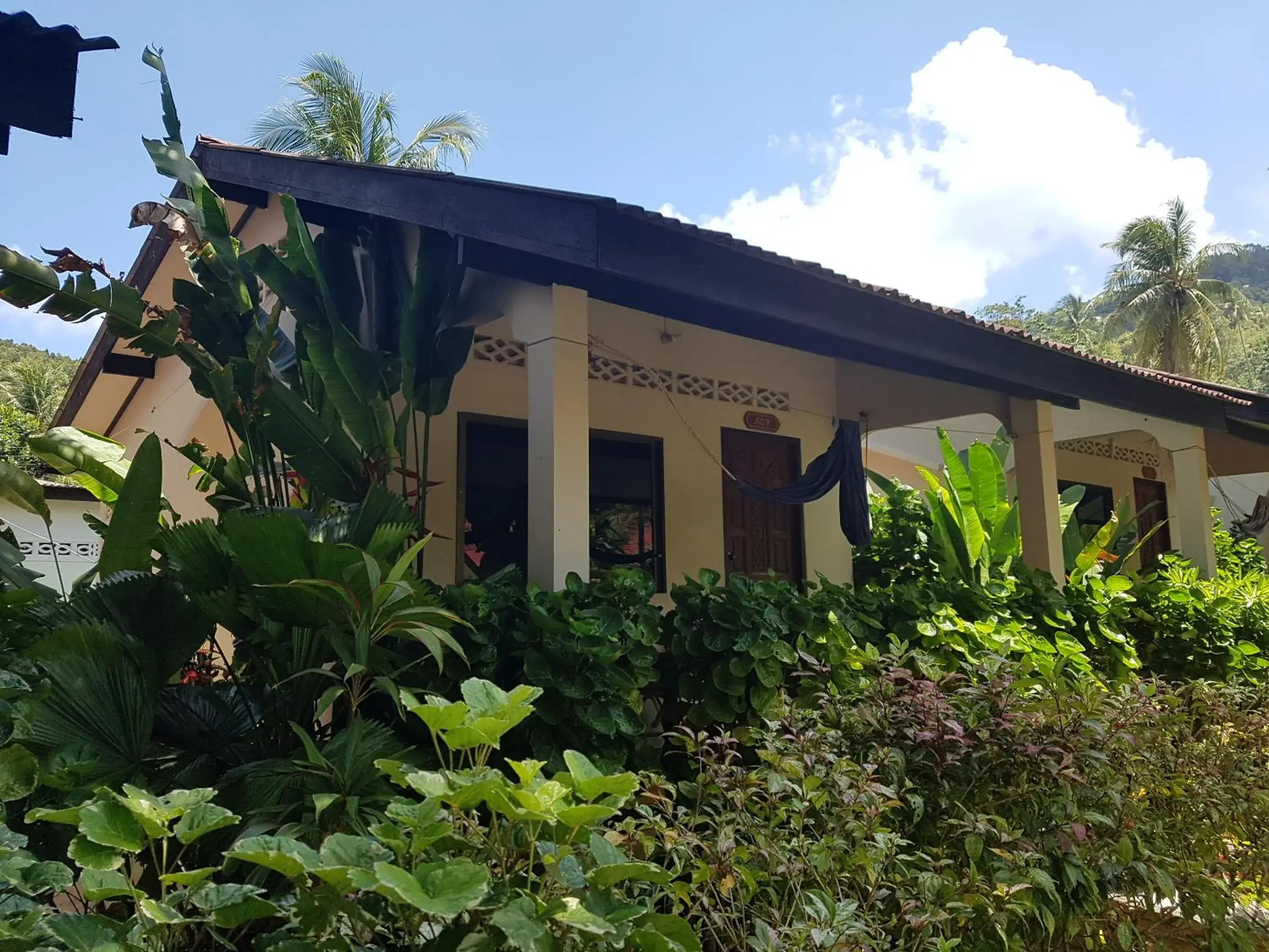 Family Room (4 Adults) in Nice Beach Resort Koh Pha-ngan Family Room (4 Adults) in Nice Beach Resort Koh Pha-ngan