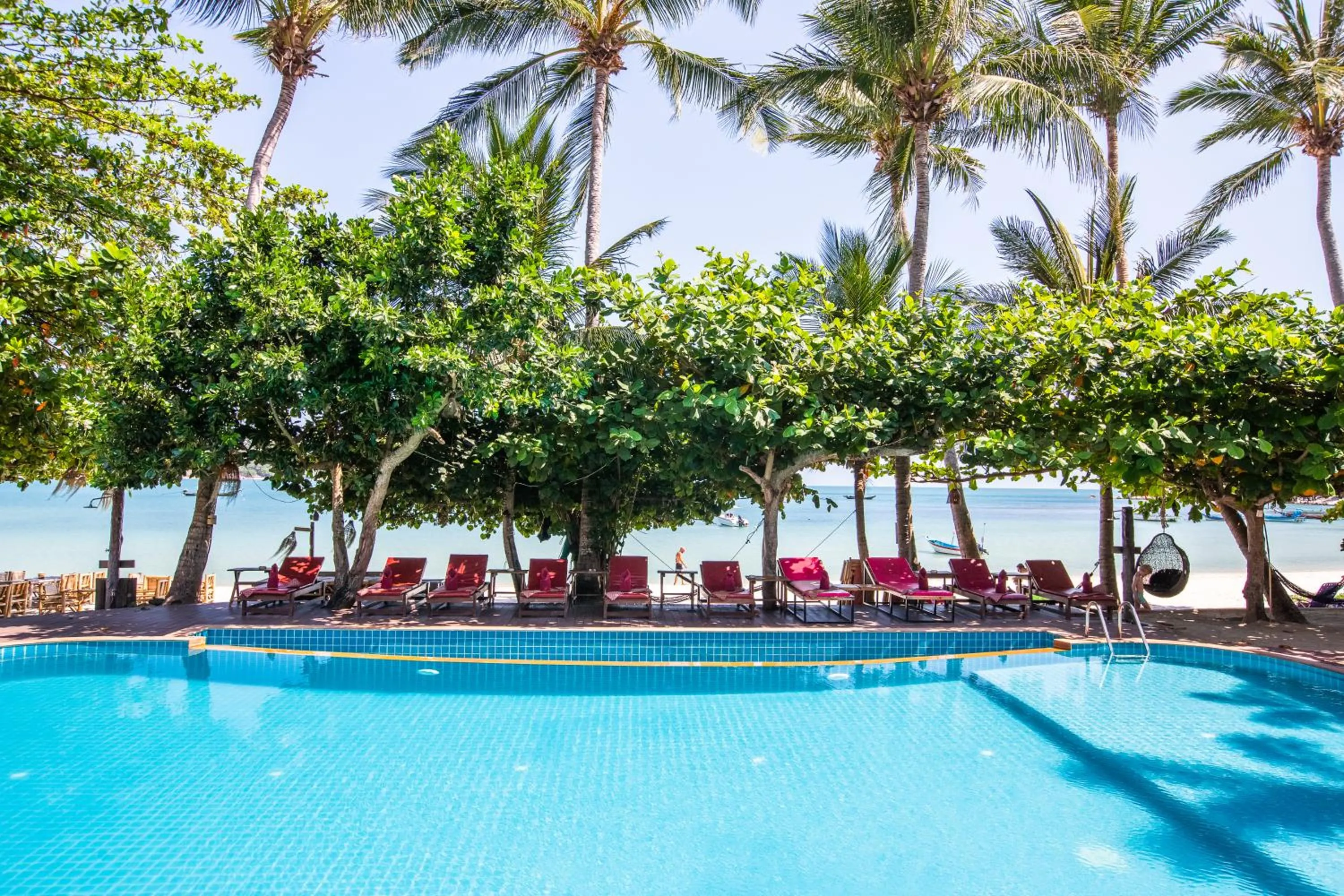 Pool view in Nice Beach Resort Koh Pha-ngan
