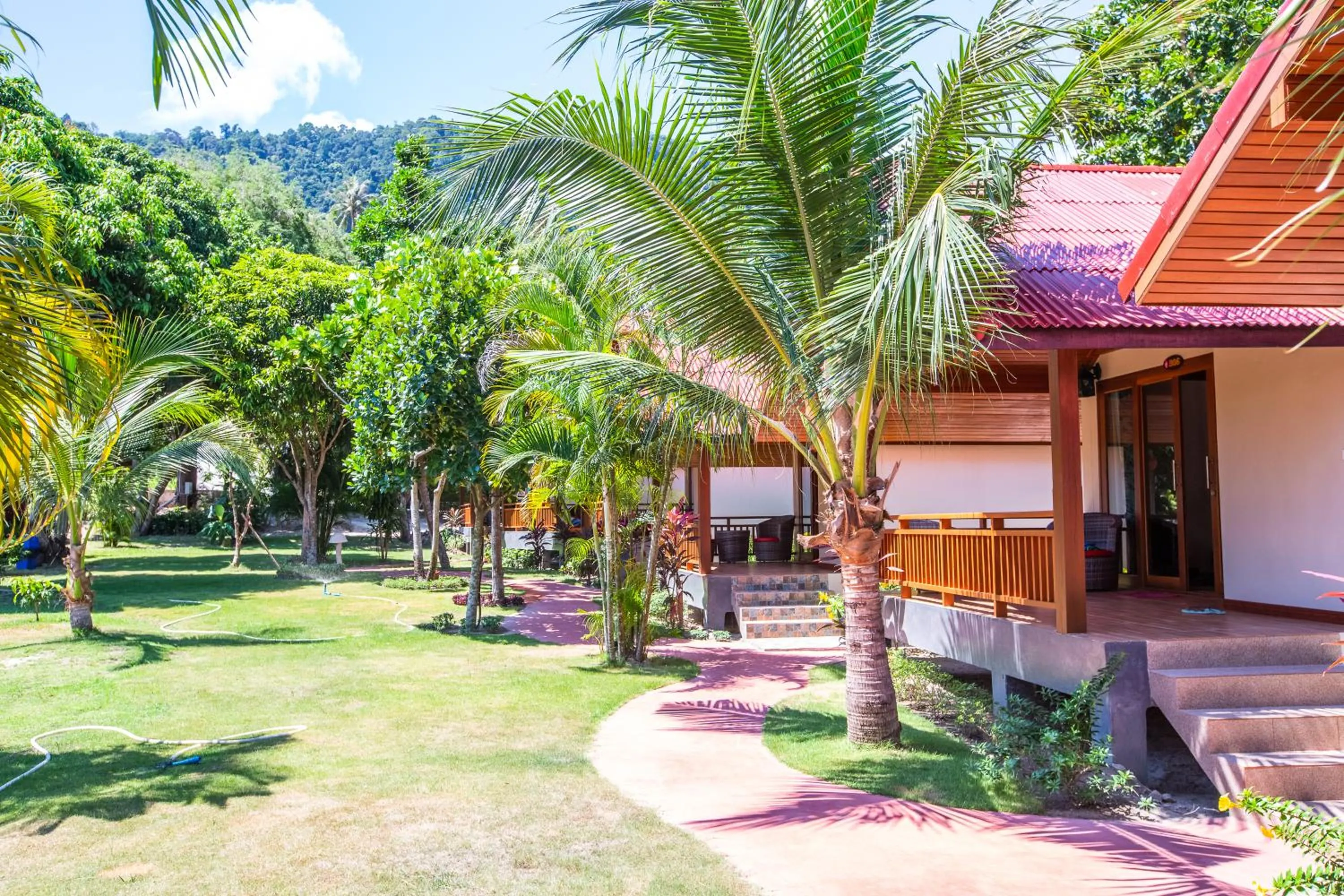 Garden view in Nice Beach Resort Koh Pha-ngan