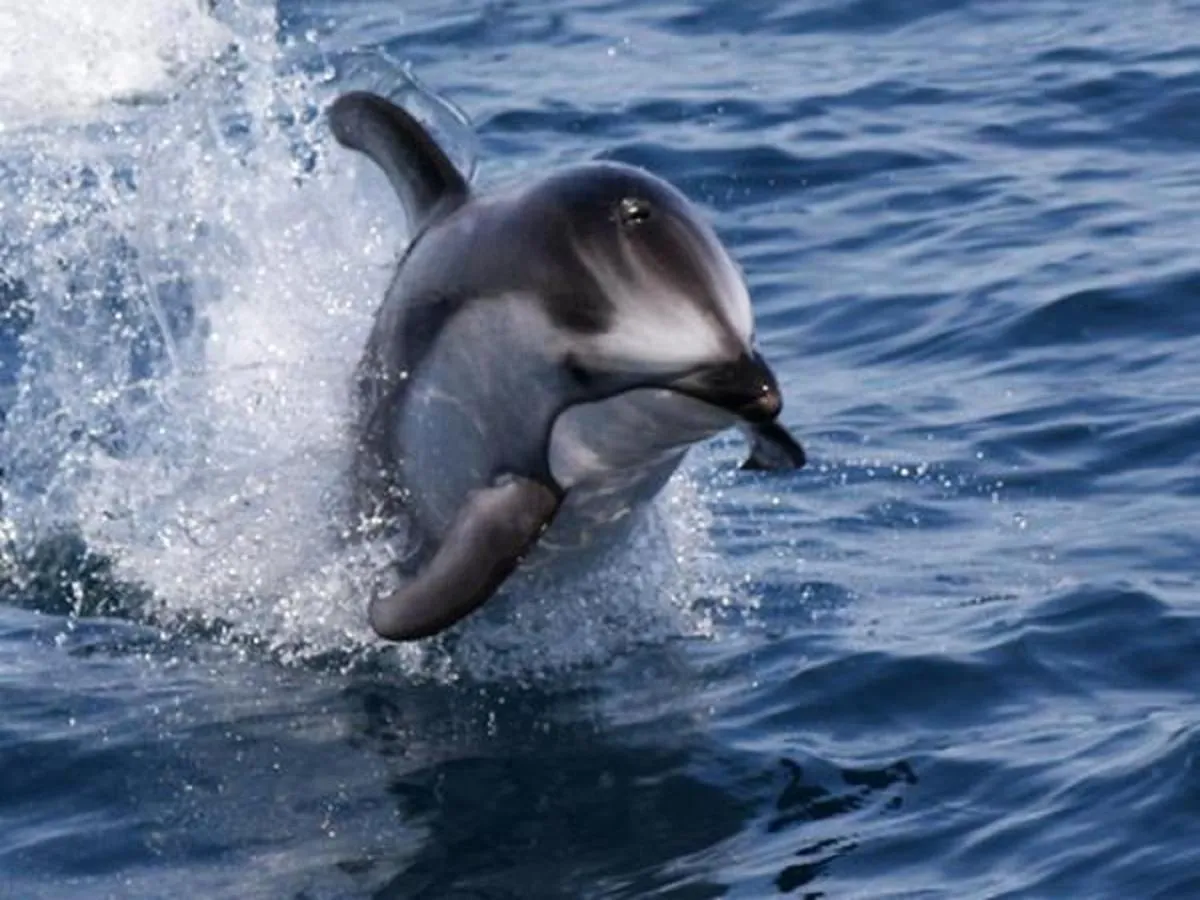Abashiri Kanko Hotel