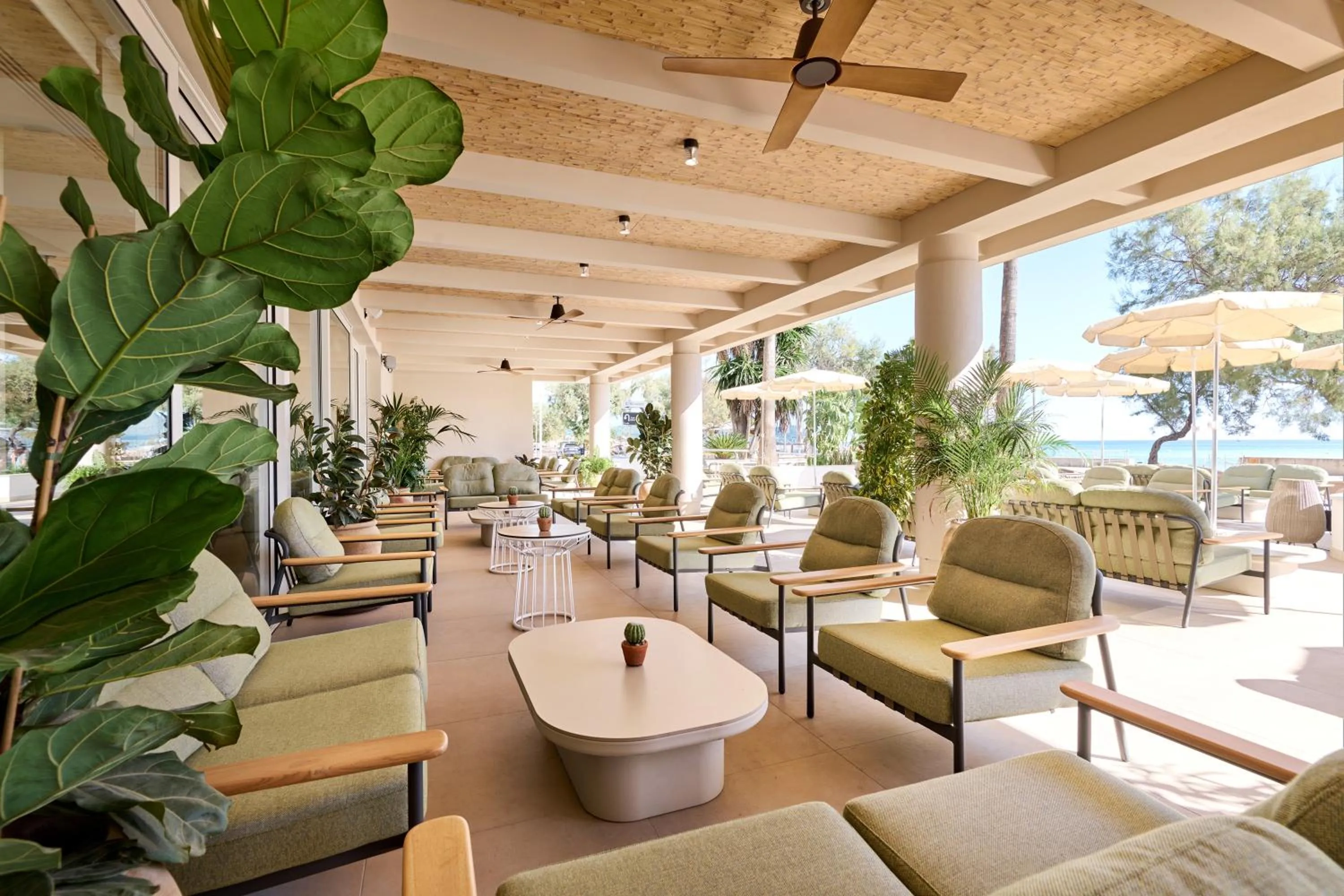 Restaurant/places to eat in Hipotels Don Juan