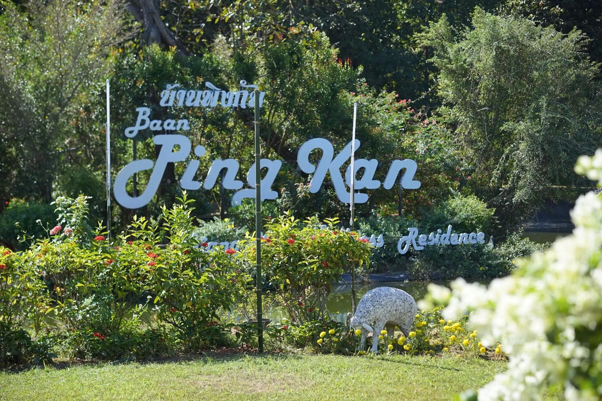 Natural landscape in Baan Pingkan Wellness Resort