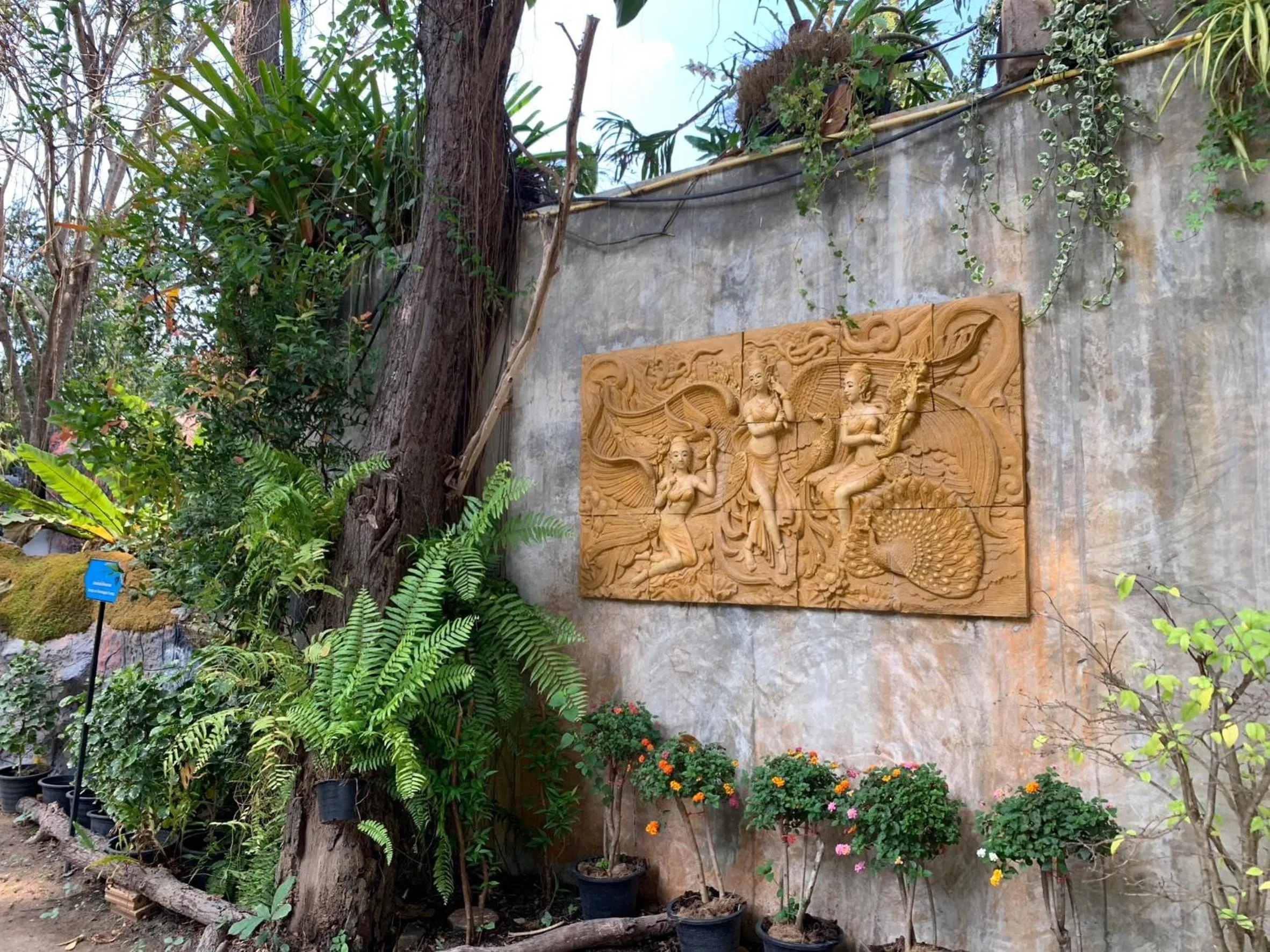 Natural landscape in Baan Pingkan Wellness Resort