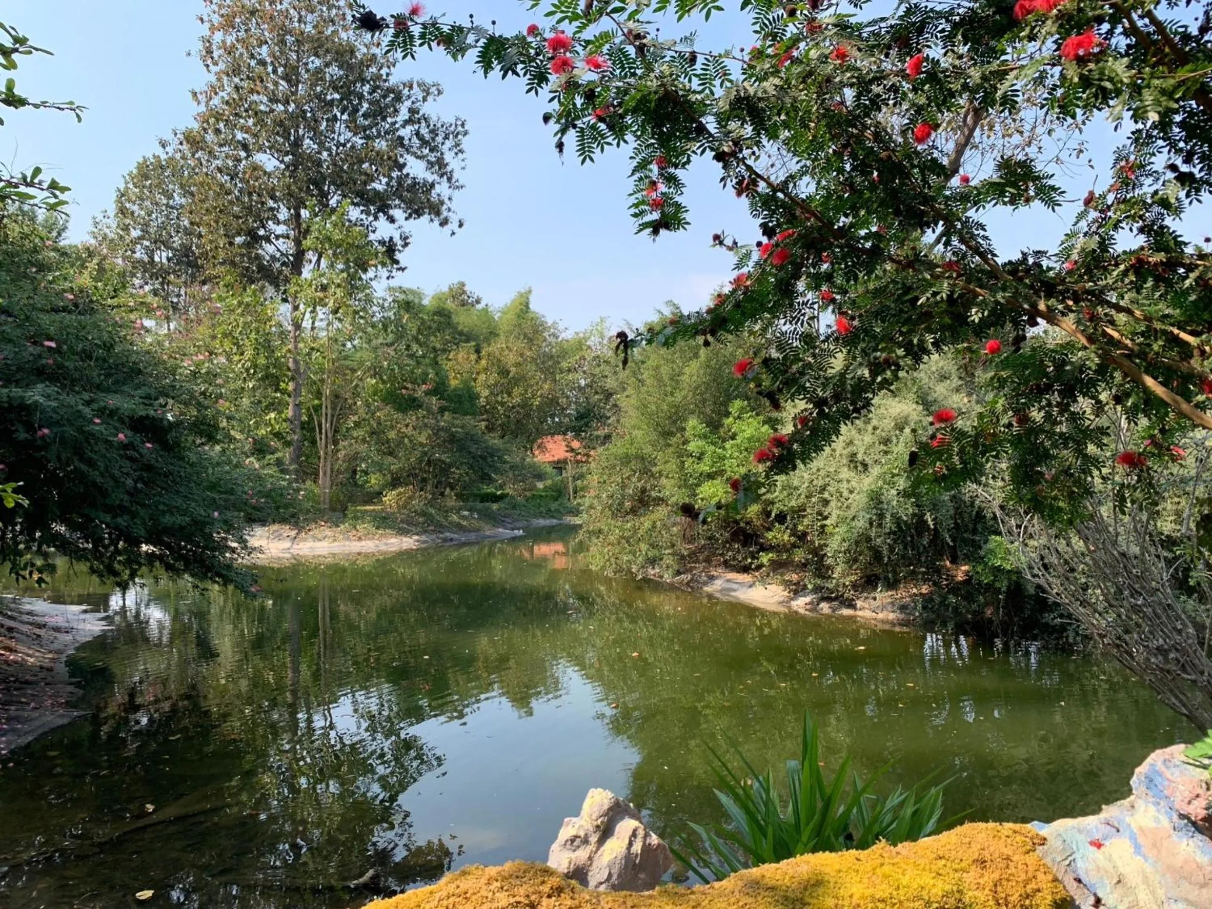 Natural landscape in Baan Pingkan Wellness Resort