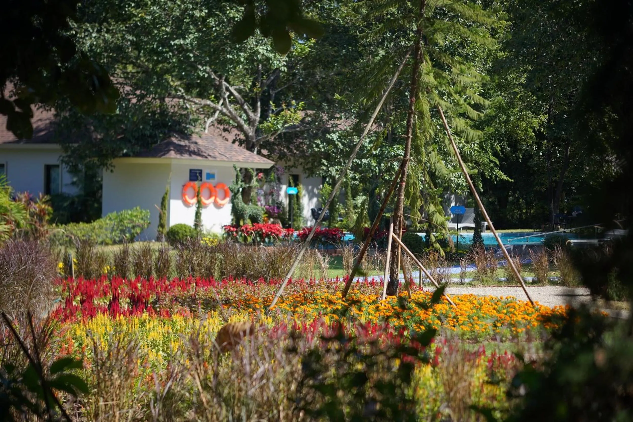 Natural landscape in Baan Pingkan Wellness Resort