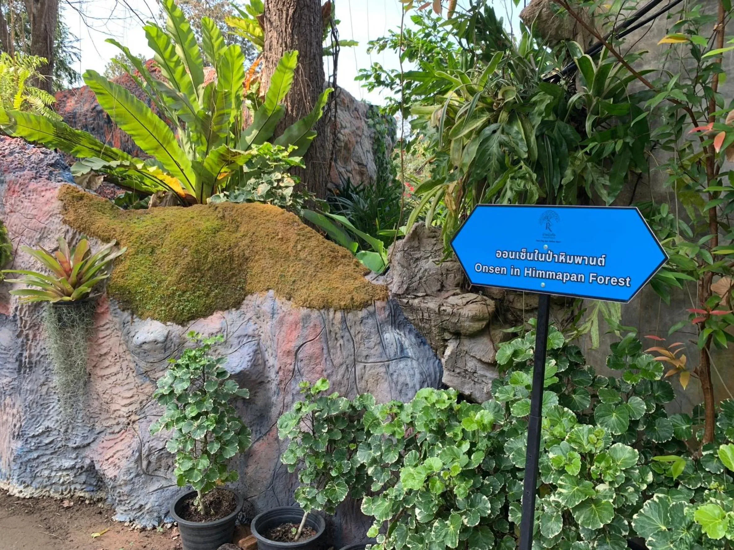 Garden in Baan Pingkan Wellness Resort