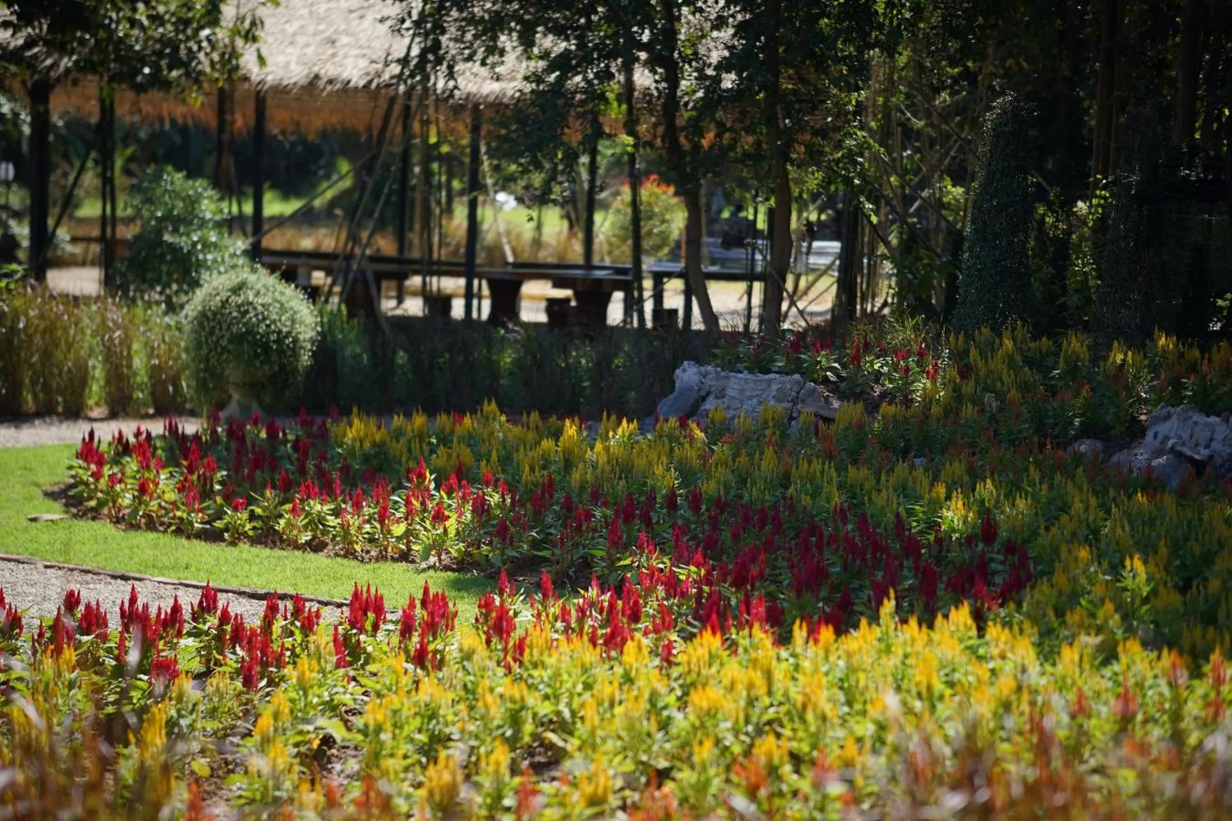 Garden in Baan Pingkan Wellness Resort