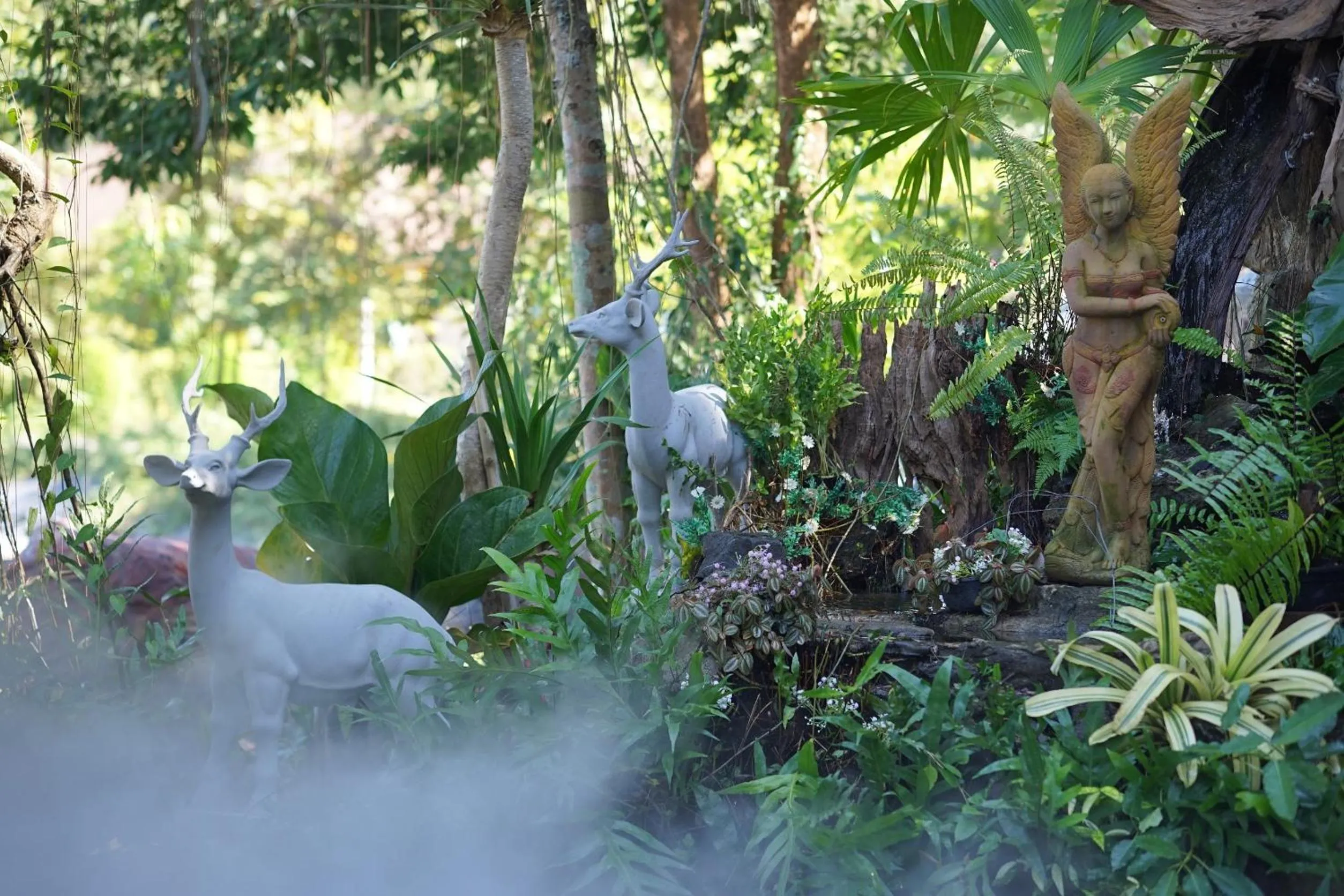 Natural landscape in Baan Pingkan Wellness Resort