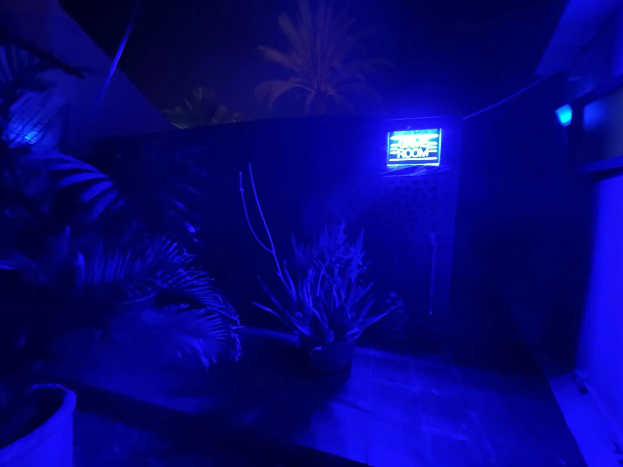 Game Room in Rainbow Golf Bungalows, Gay Men-only Resort