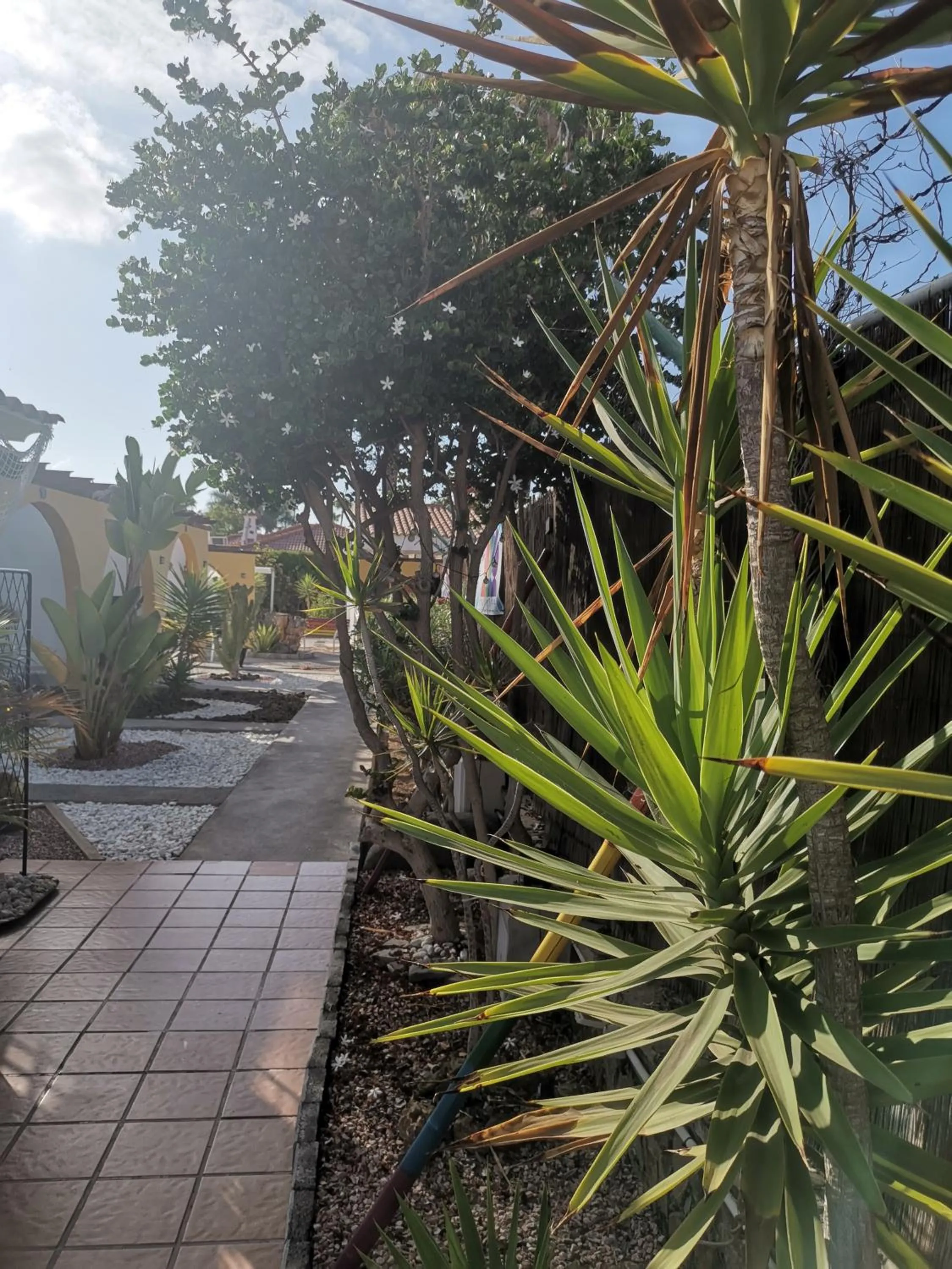 Garden in Rainbow Golf Bungalows, Gay Men-only Resort