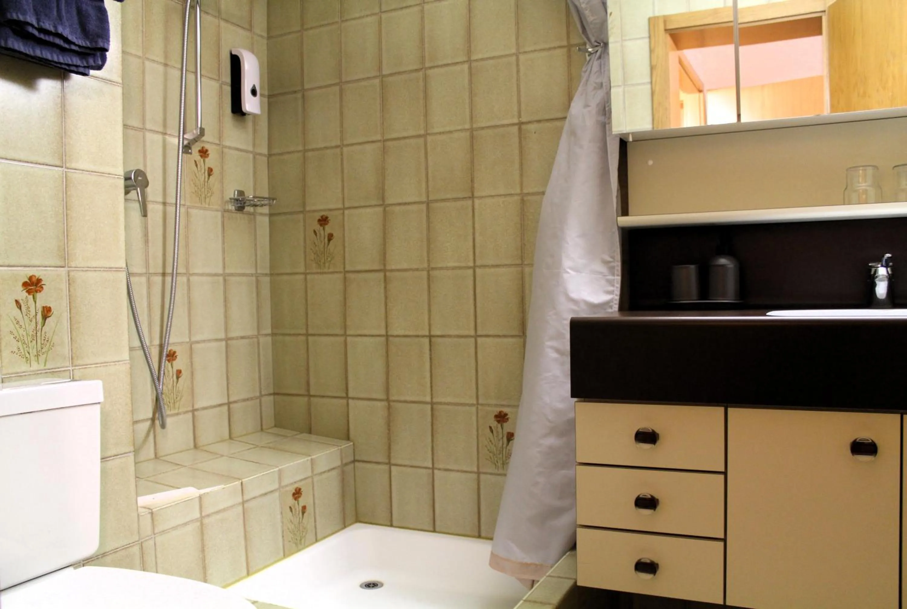 Bathroom in Bonne Auberge Les Bugnenets