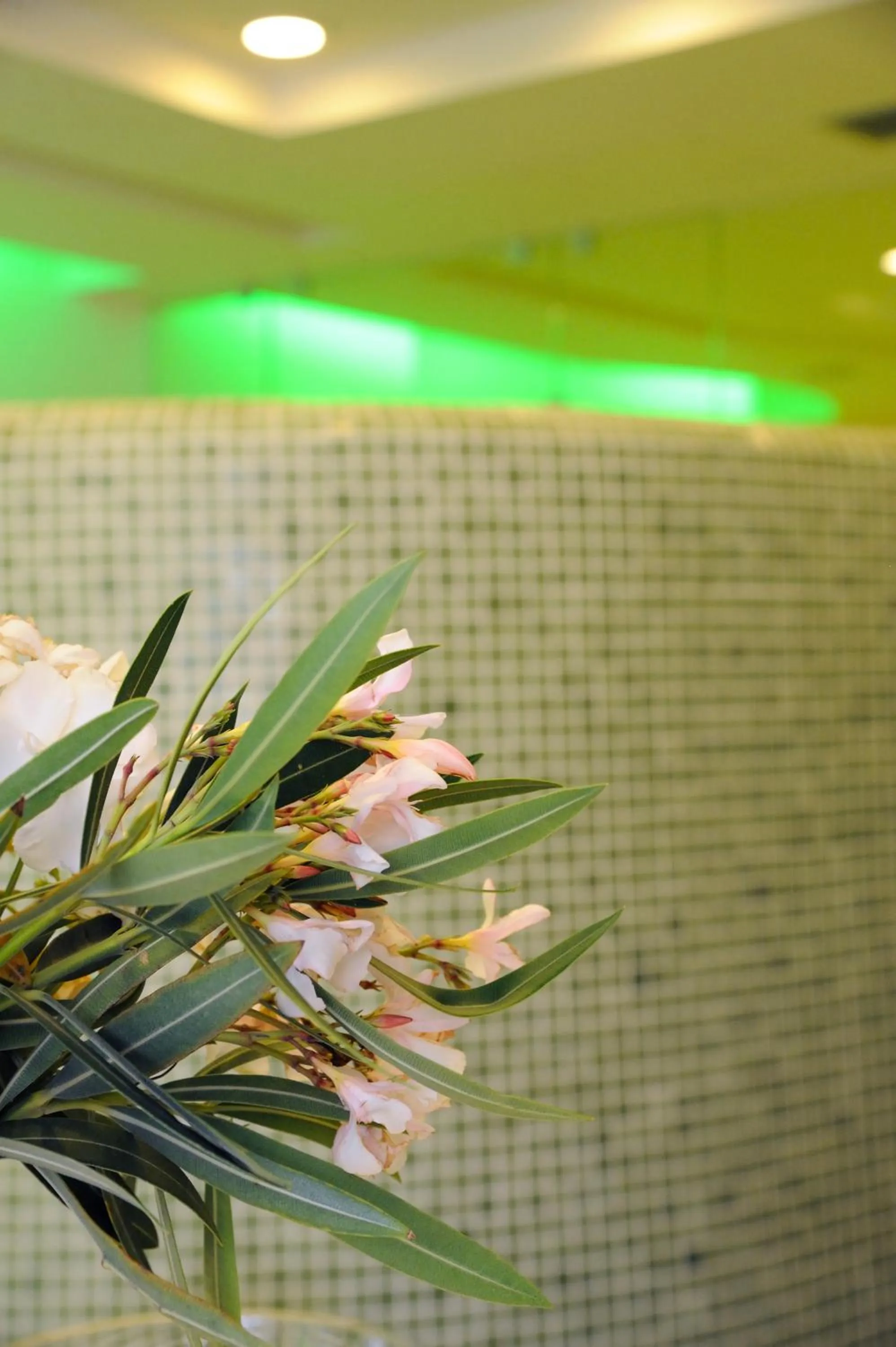 Spa and wellness centre/facilities in Anthea Hotel