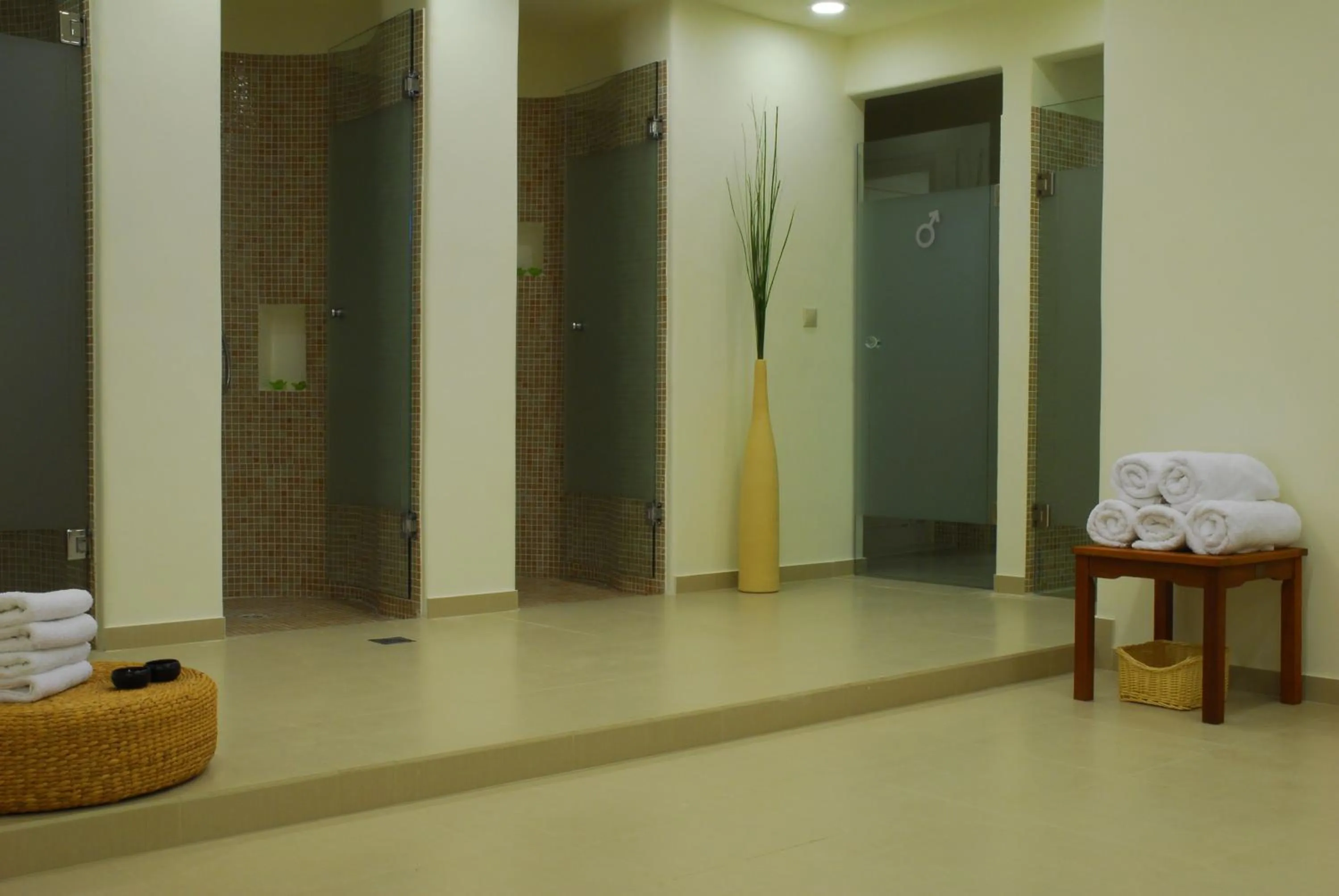 Spa and wellness centre/facilities in Anthea Hotel