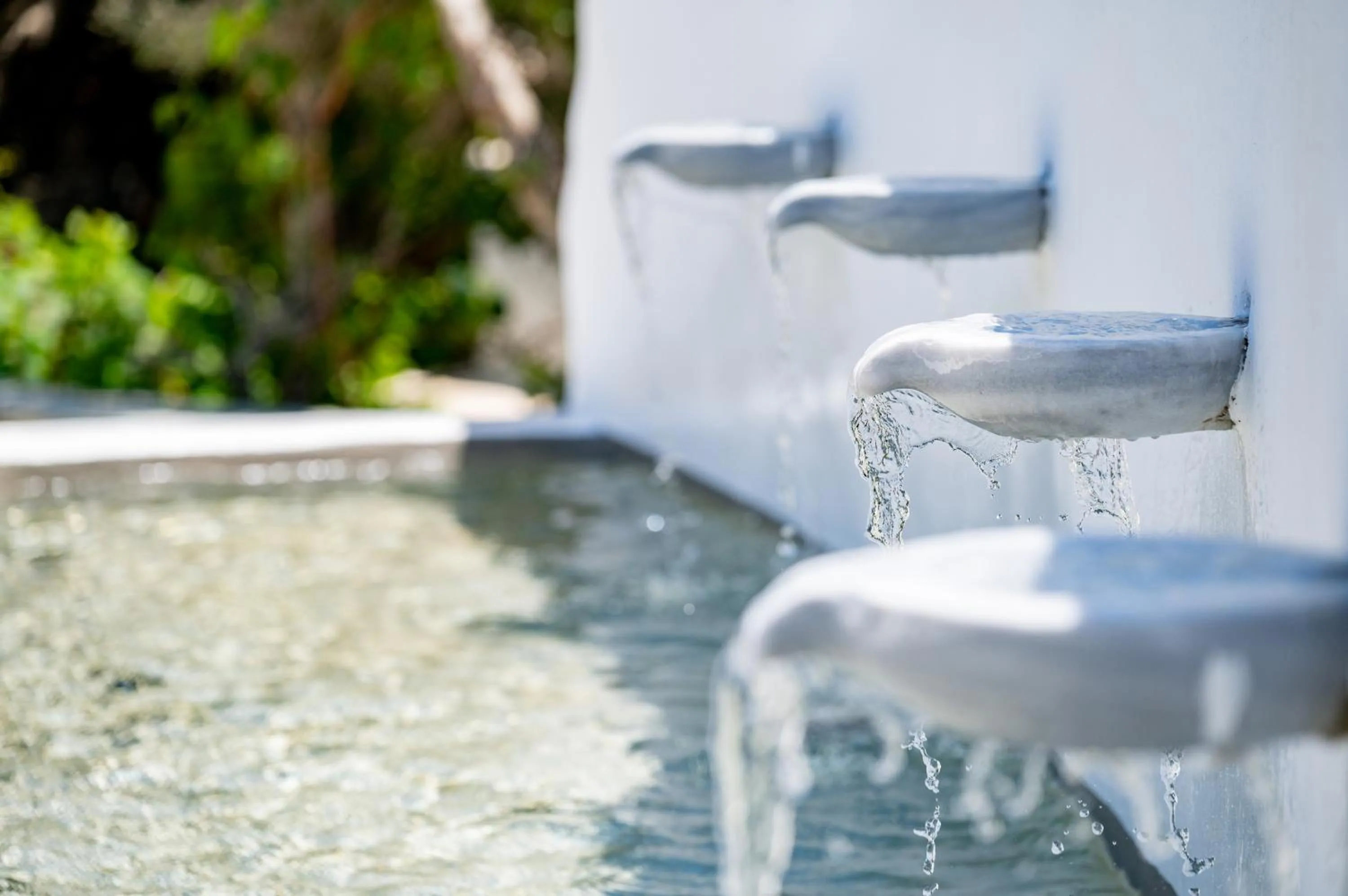 Natural landscape in Anthea Hotel