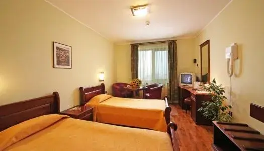 Double or Twin Room with River View in Meridian Hotel Bolyarski Double or Twin Room with River View in Meridian Hotel Bolyarski