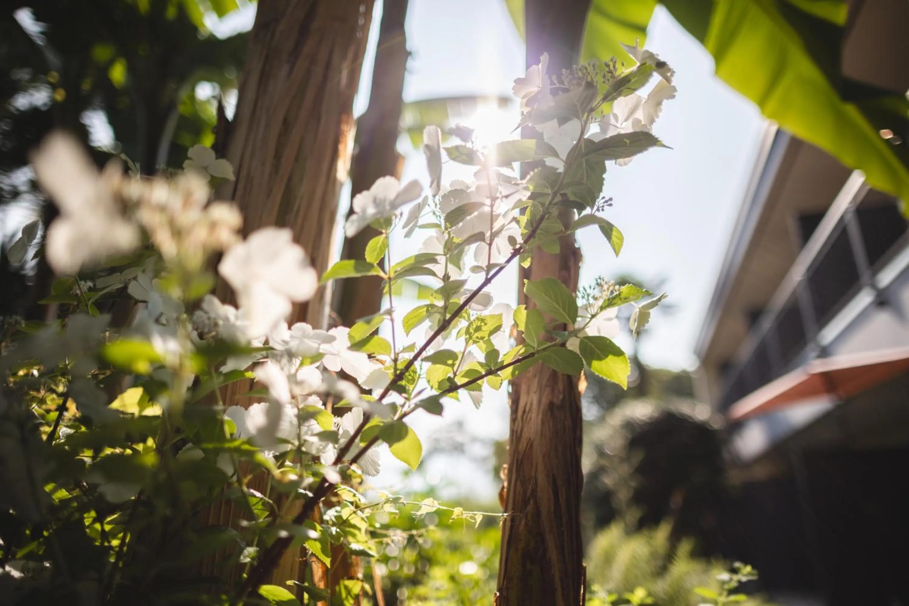 Garden in Charme Hotel Barbatè