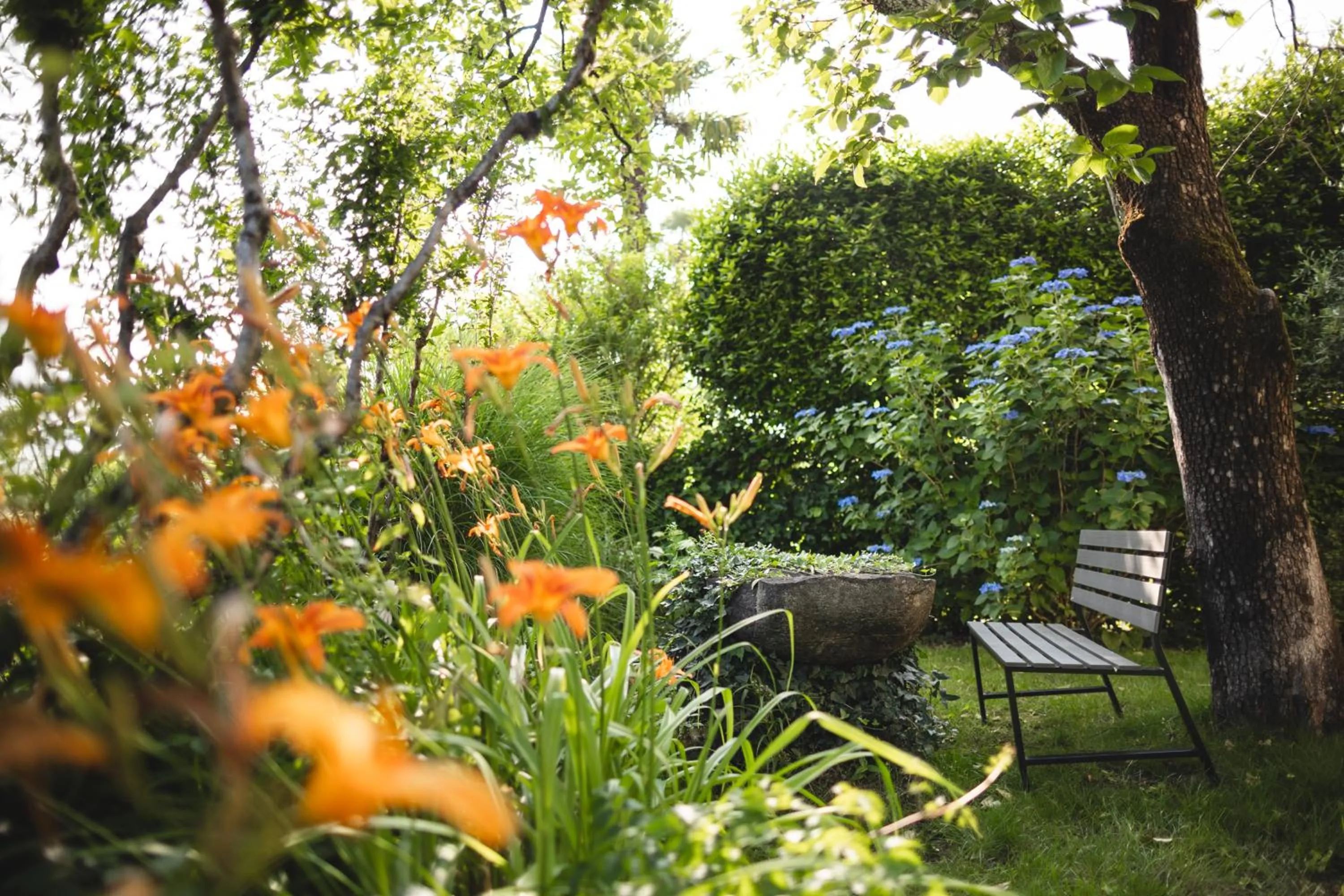 Garden in Charme Hotel Barbatè