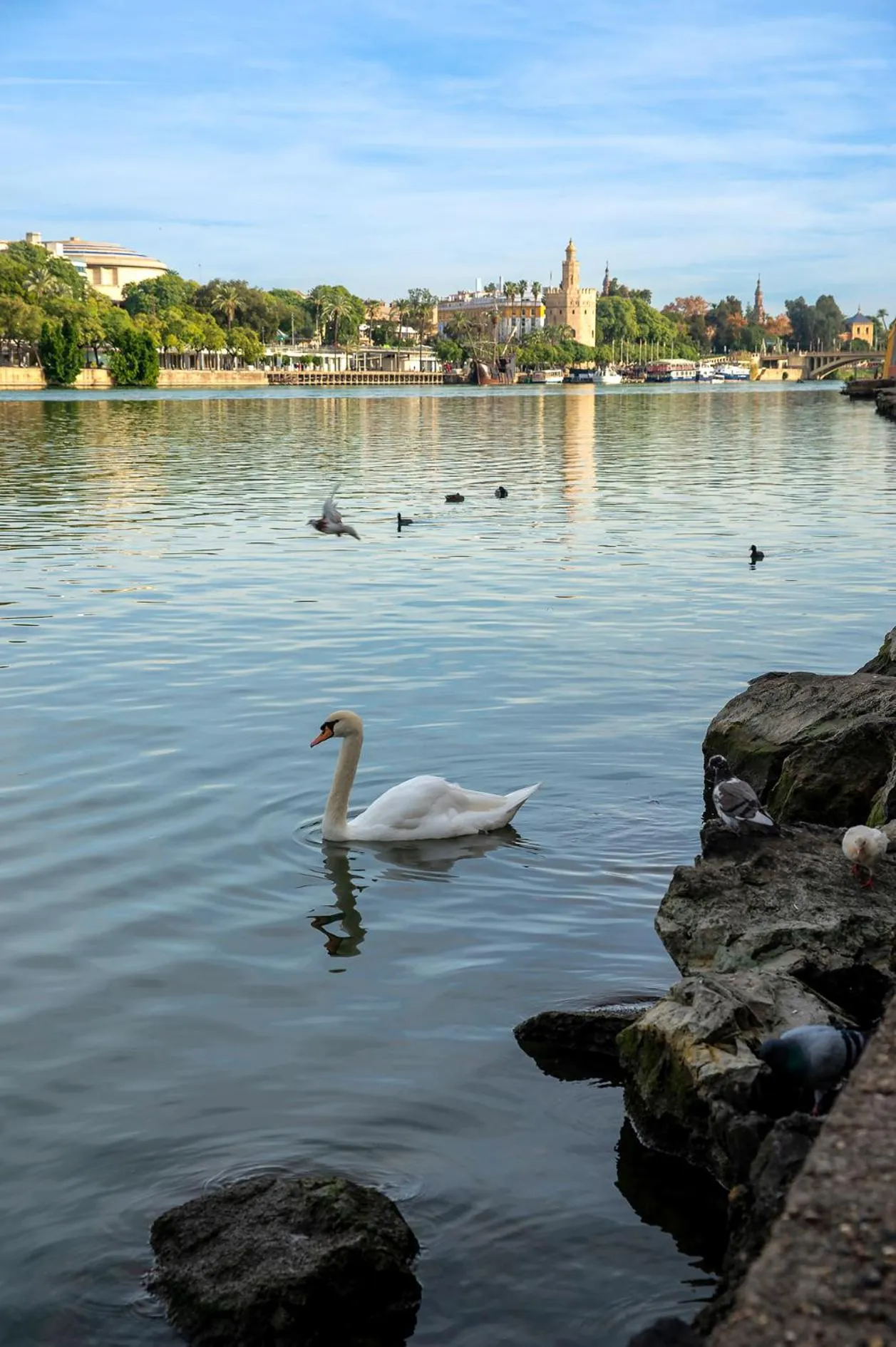 Other in Pierre & Vacances Sevilla