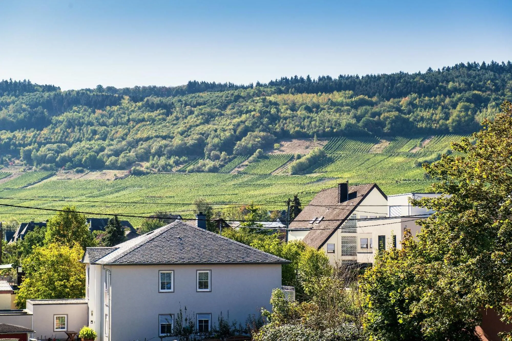 View (from property/room) in Hotel Weinhaus Weis