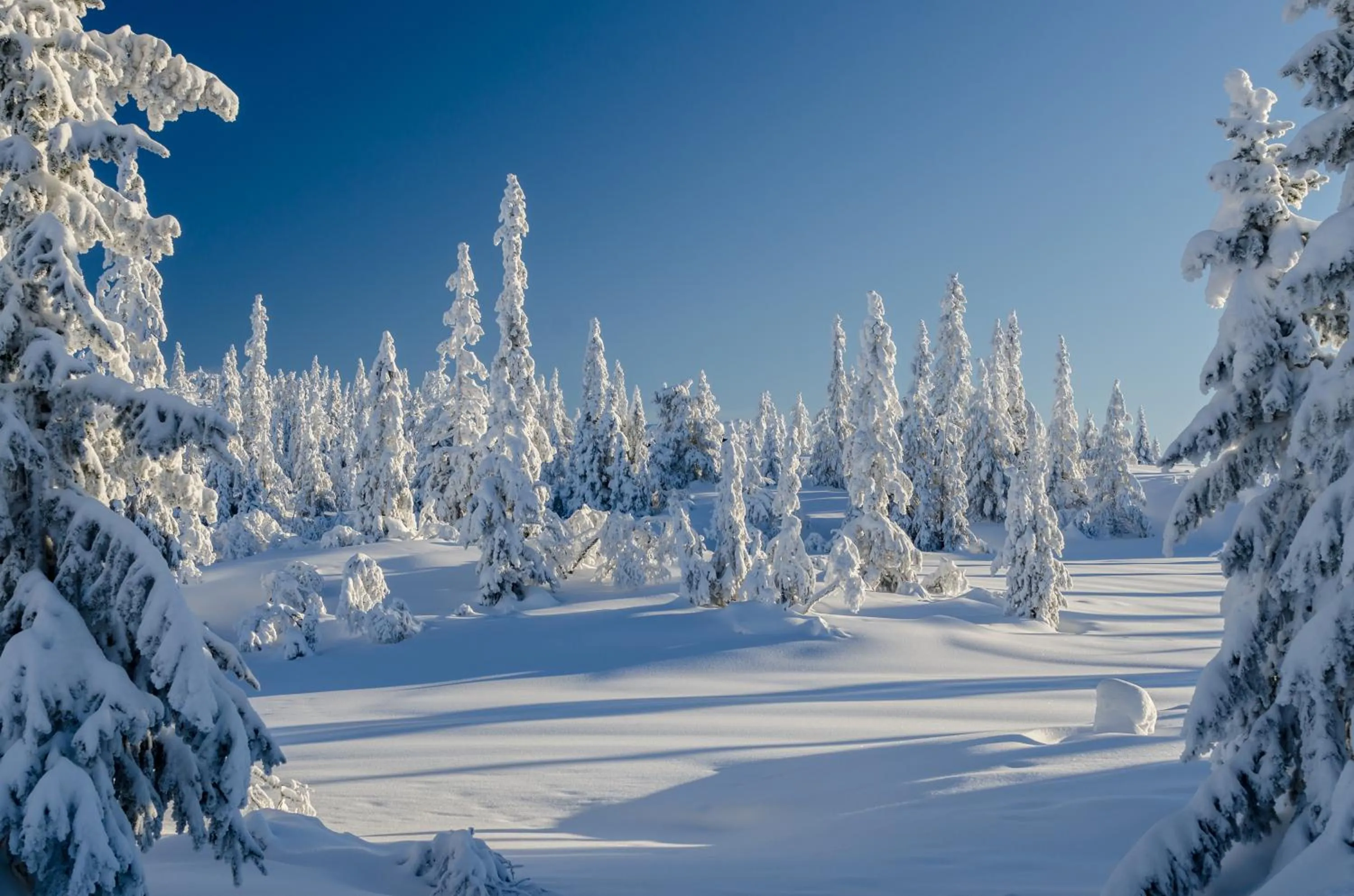 Natural landscape in Blefjell Lodge