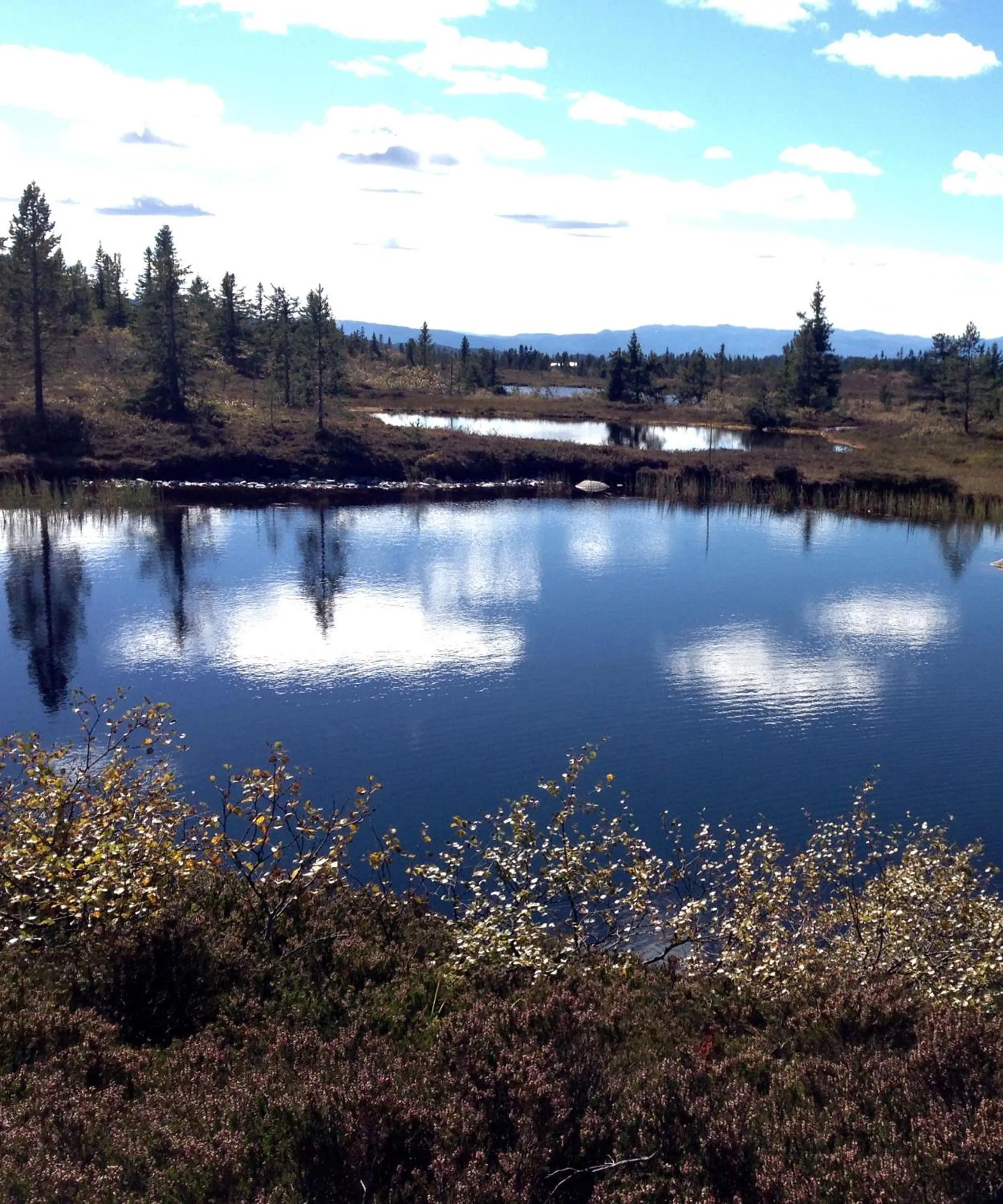 Summer in Blefjell Lodge