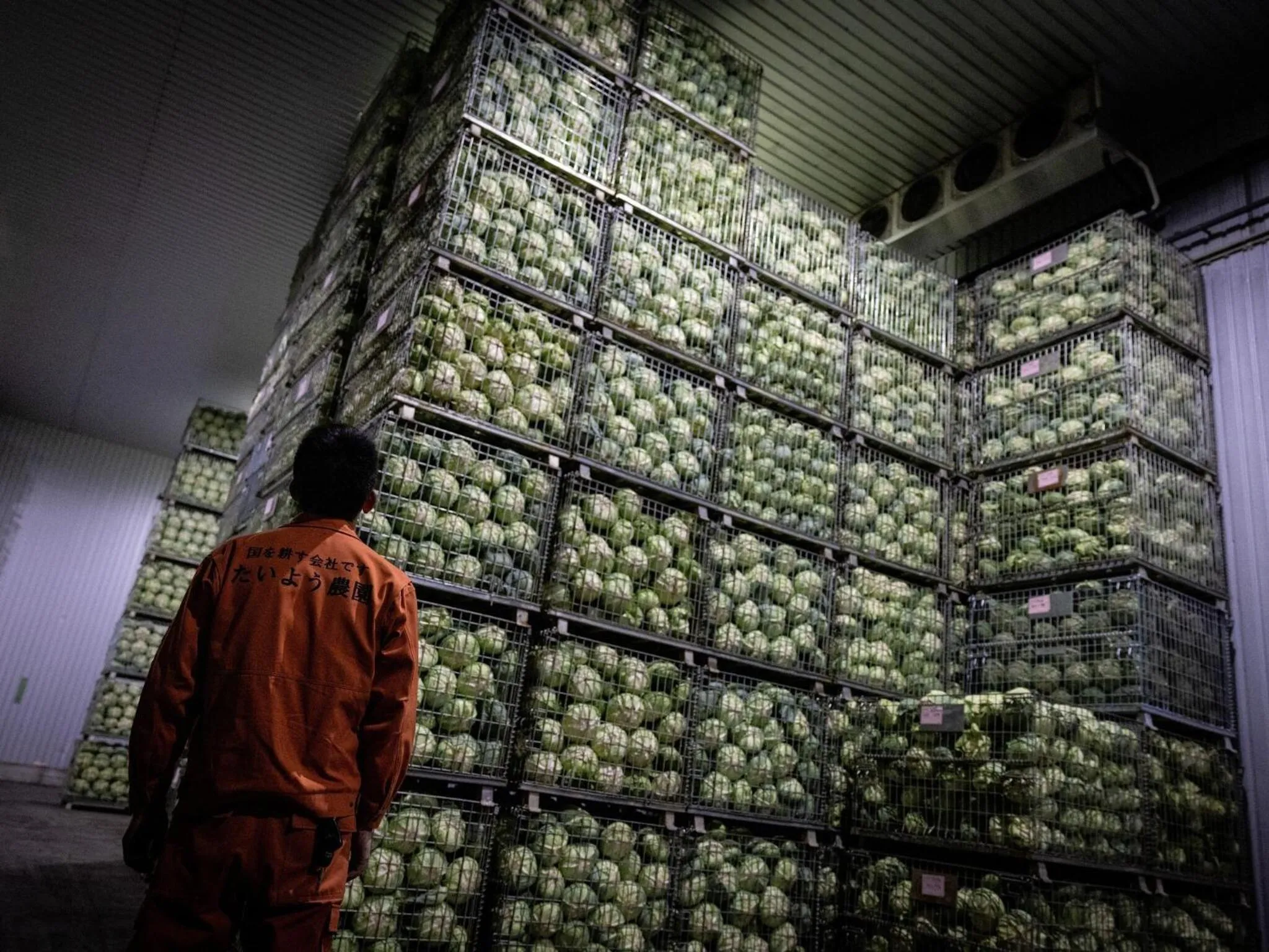 Breakfast in Hotel Taiyo Noen Nibancho