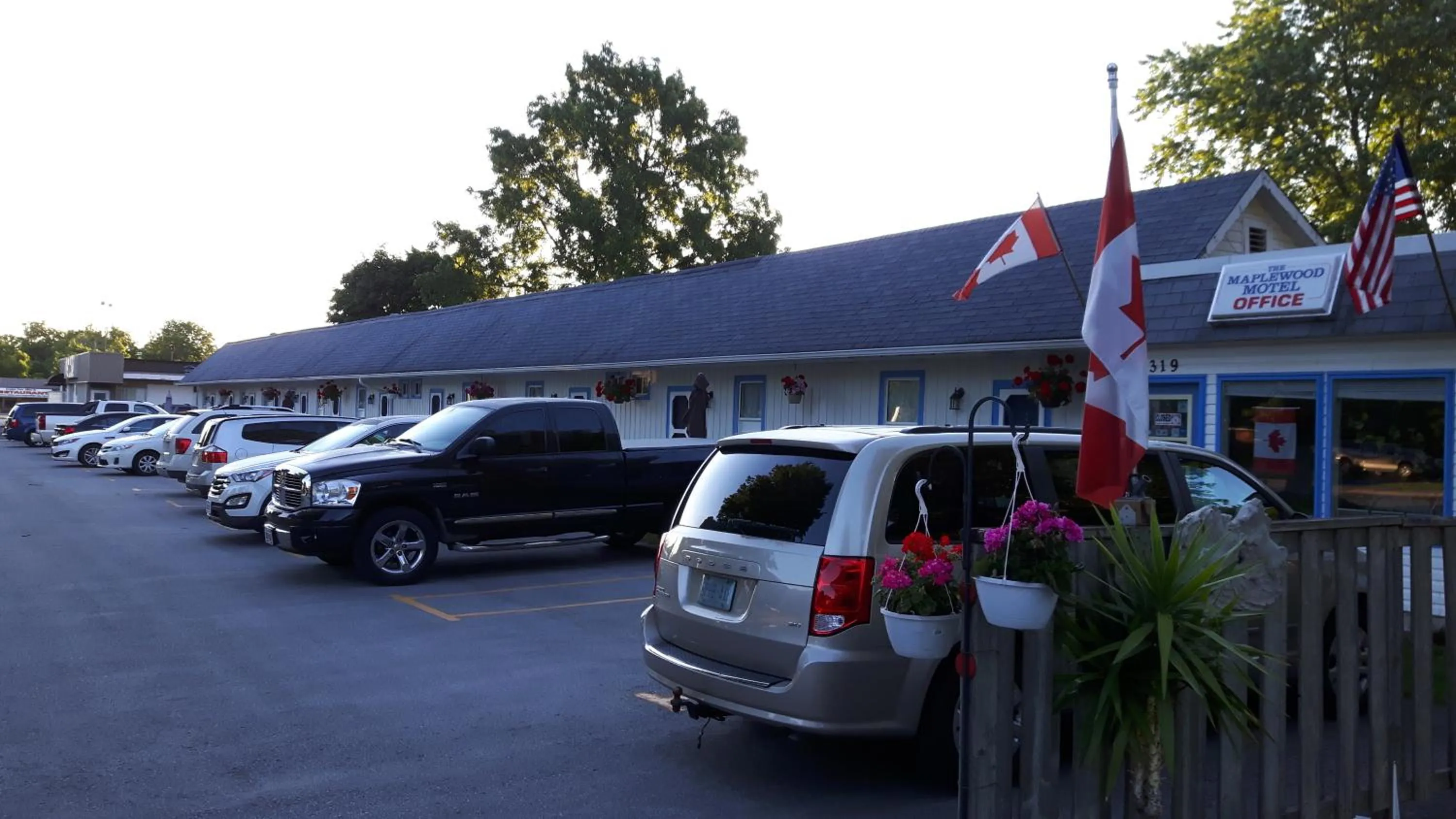 Garden, Property Building in The Maplewood Motel