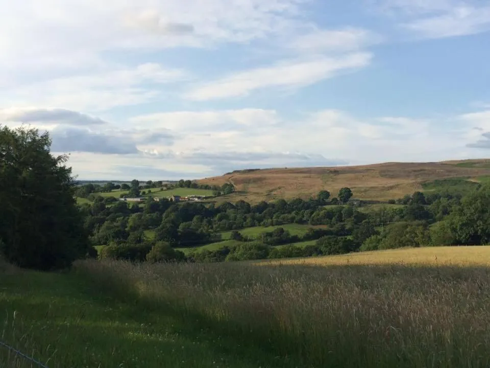 Natural landscape in Mill Croft Bed and Breakfast
