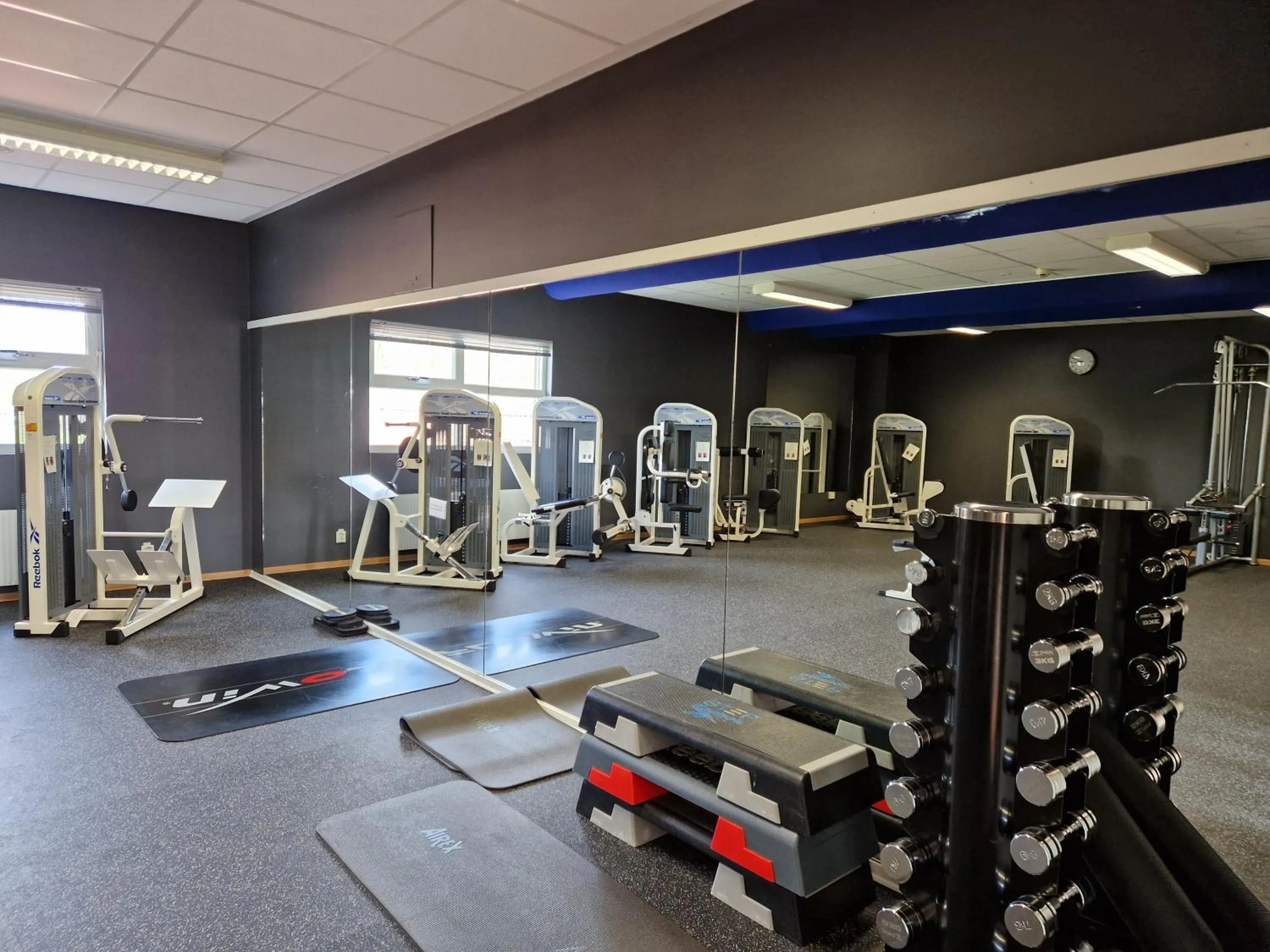 Fitness centre/facilities in Hotell Erikslund