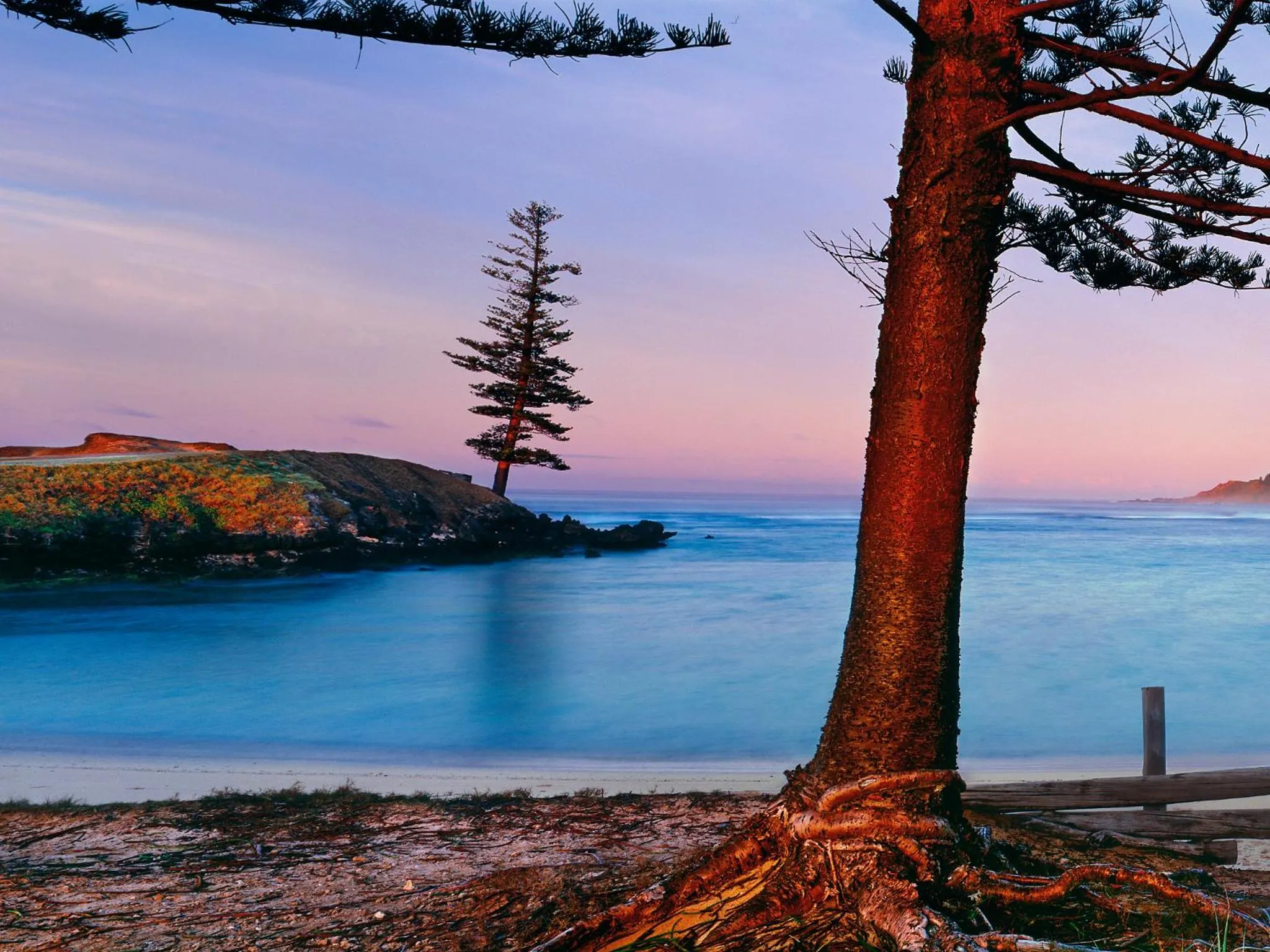 Other in Paradise Hotel & Resort