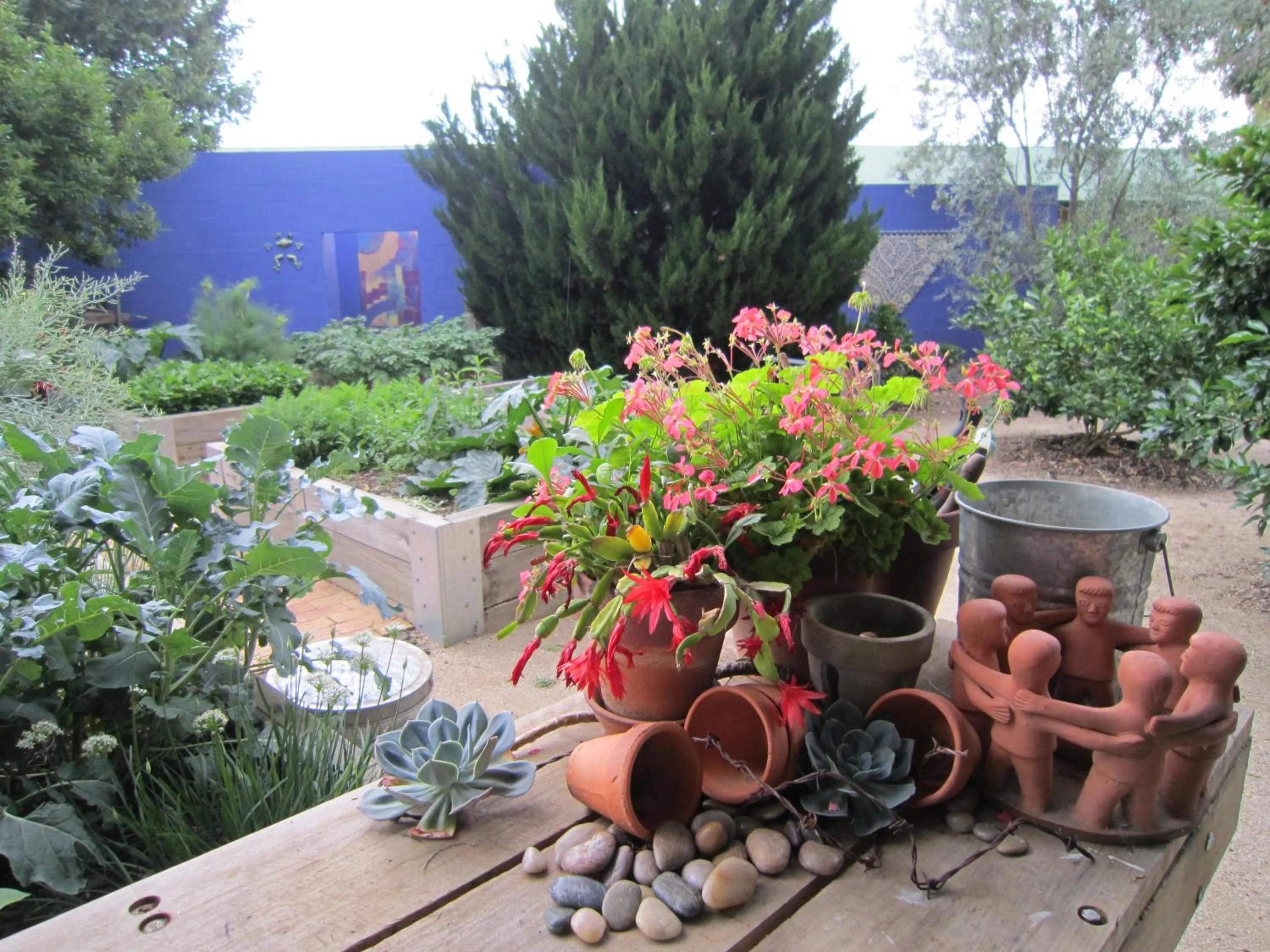 Garden view in The Retreat at Froog Moore Park