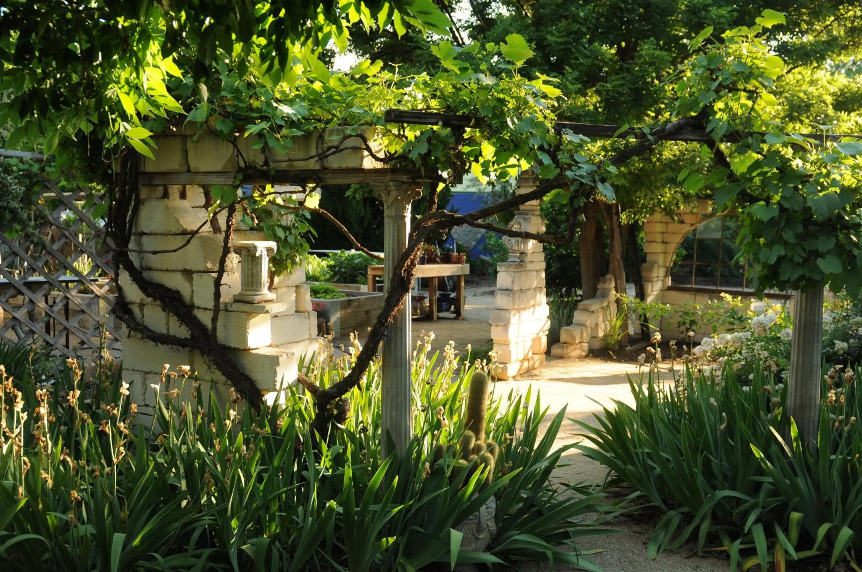 Garden in The Retreat at Froog Moore Park