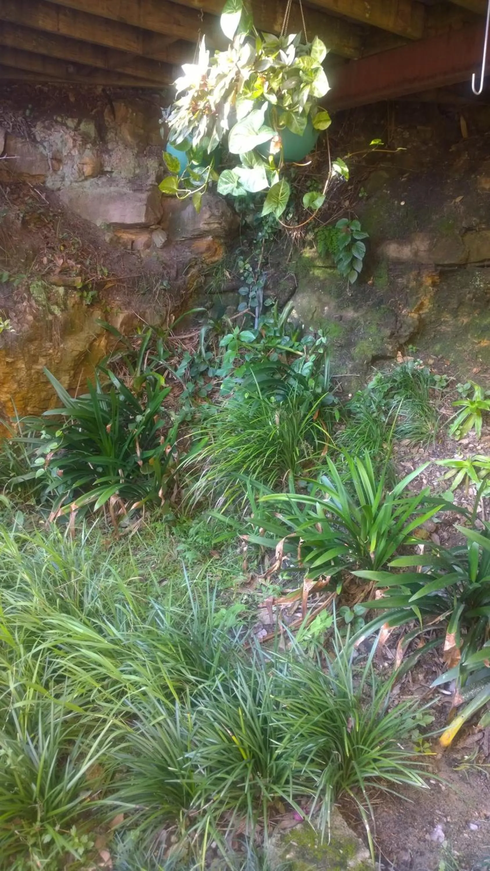 Other in Linley House