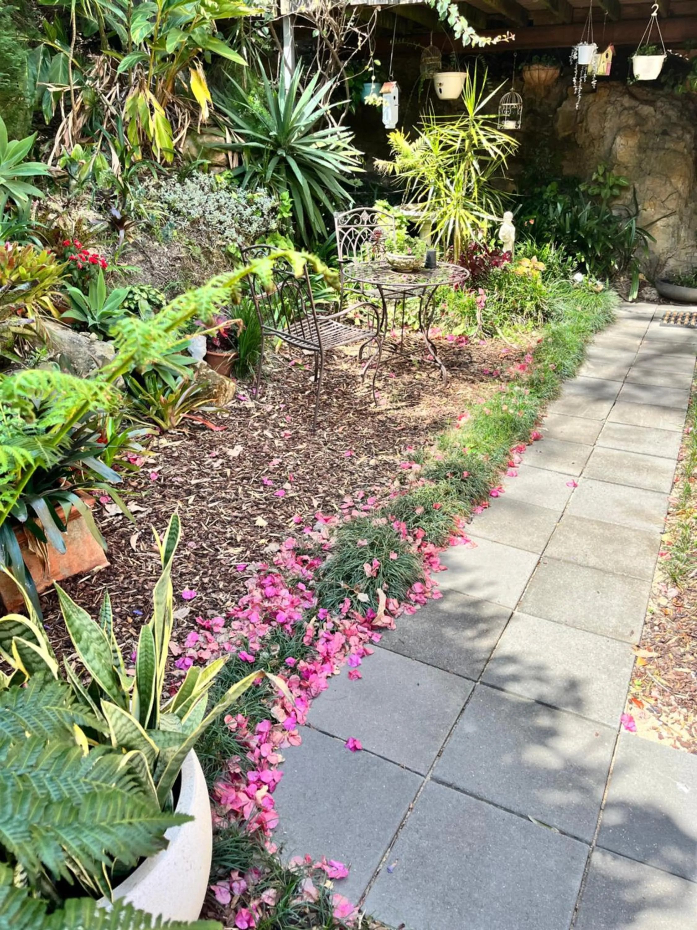 Garden view in Linley House