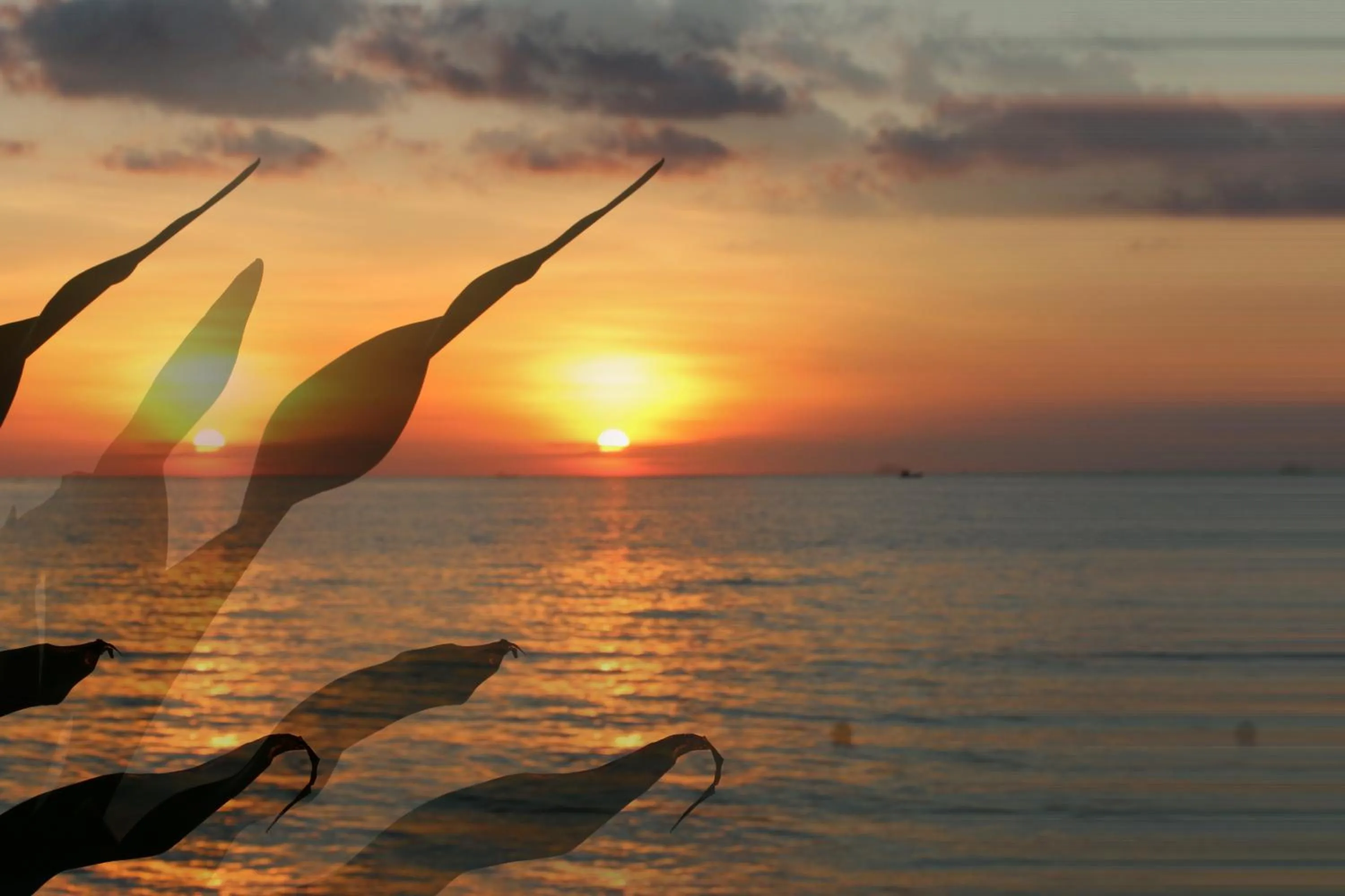 Beach in Kim Hoa Resort