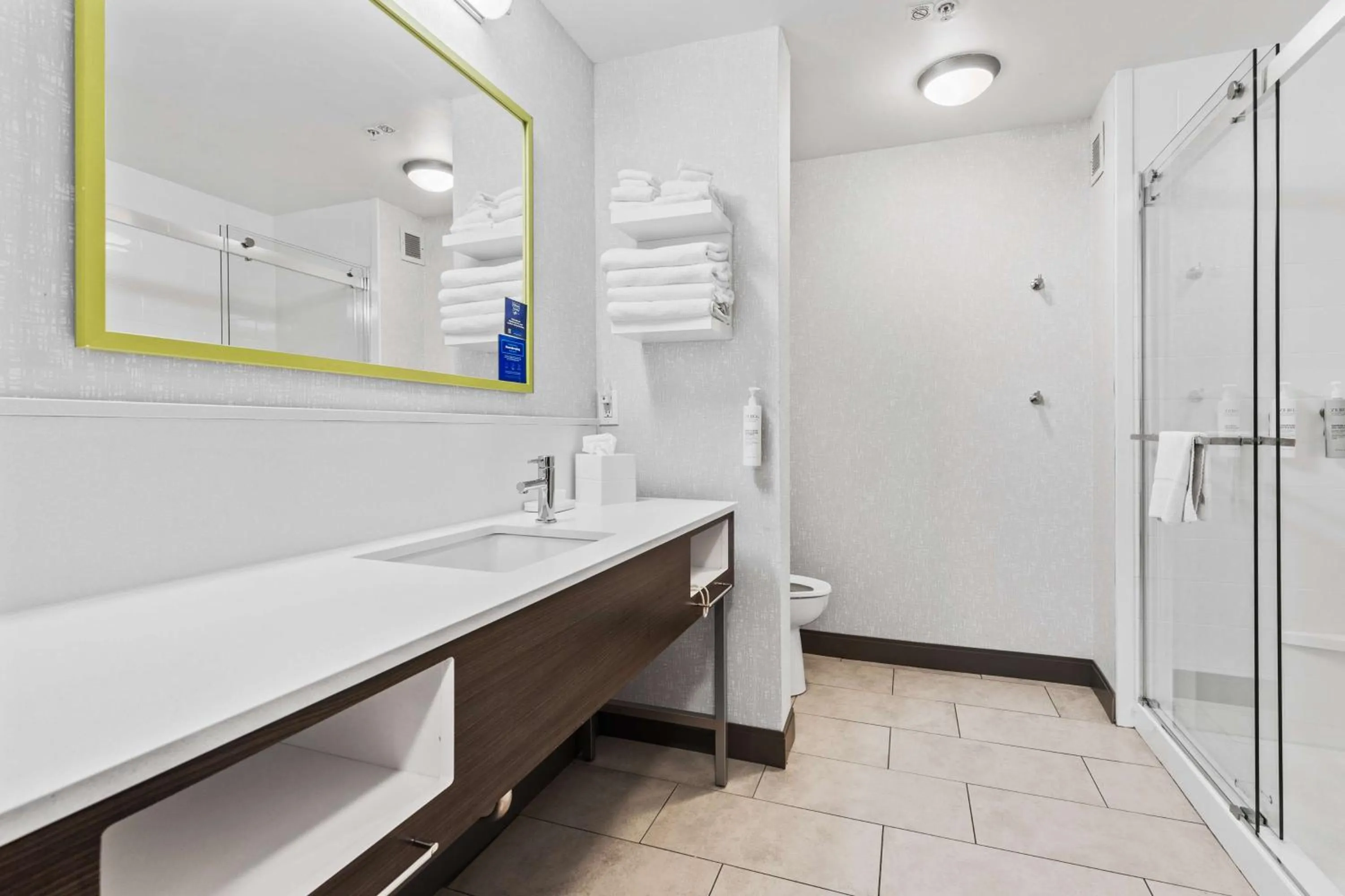 Bathroom in Hampton Inn & Suites Colorado Springs-Air Force Academy/I-25 North