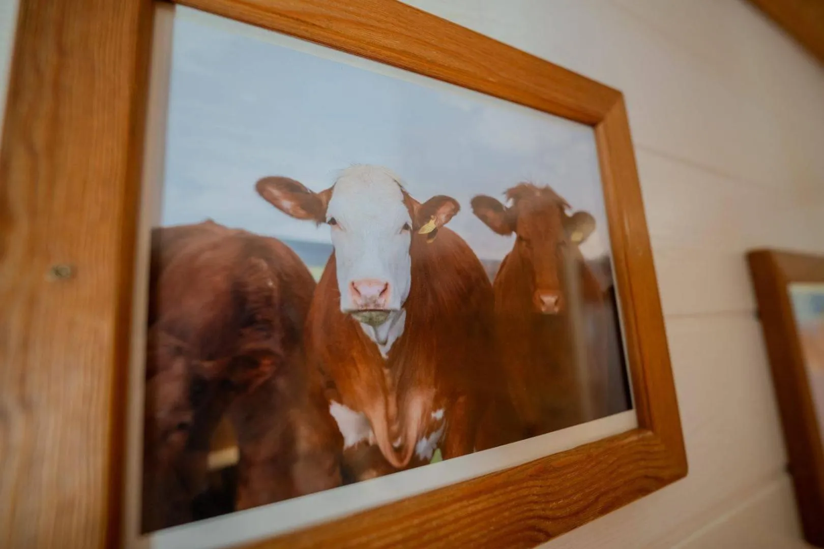 Decorative detail in Hôtel du Centre