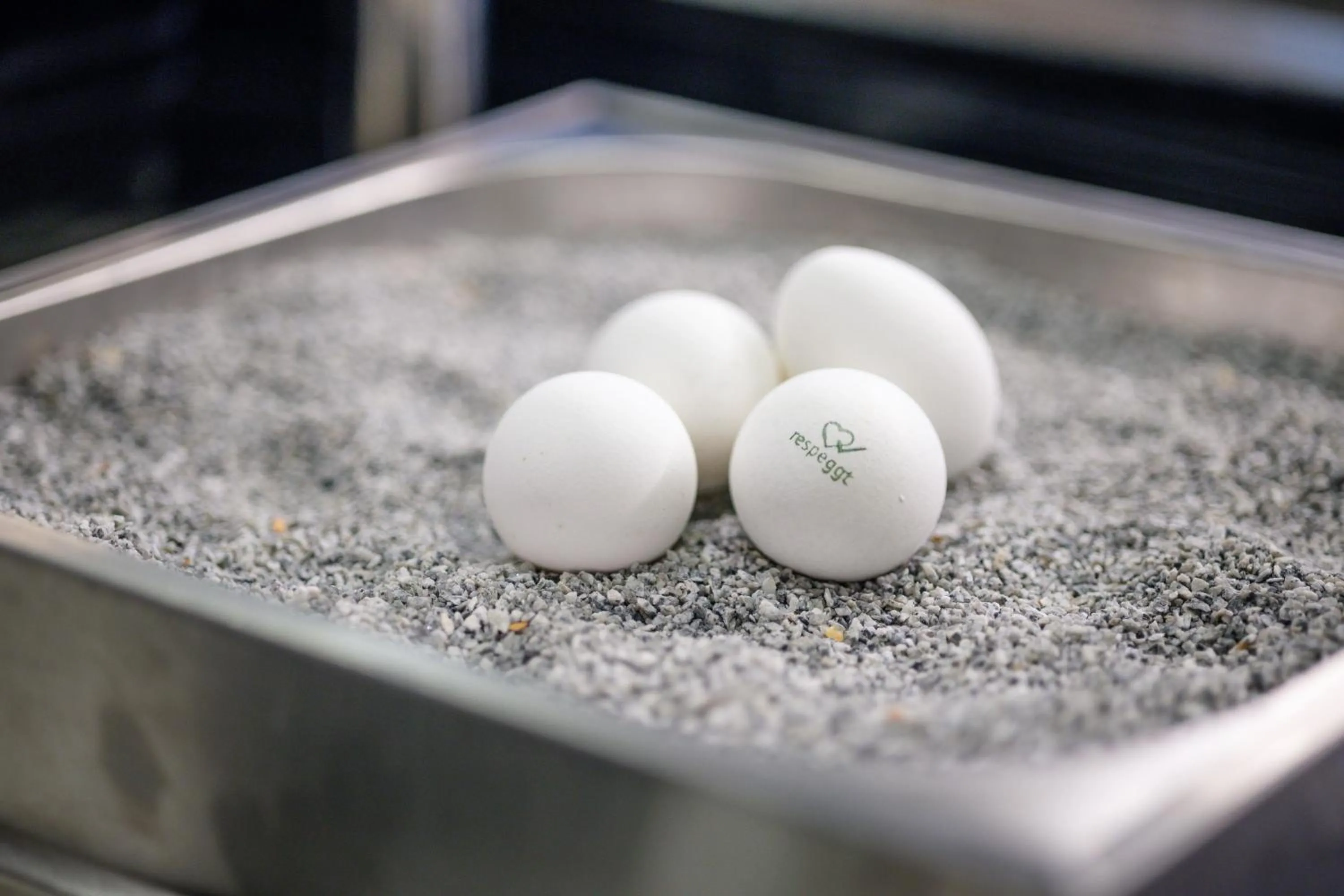 Breakfast in Landhotel Stüer