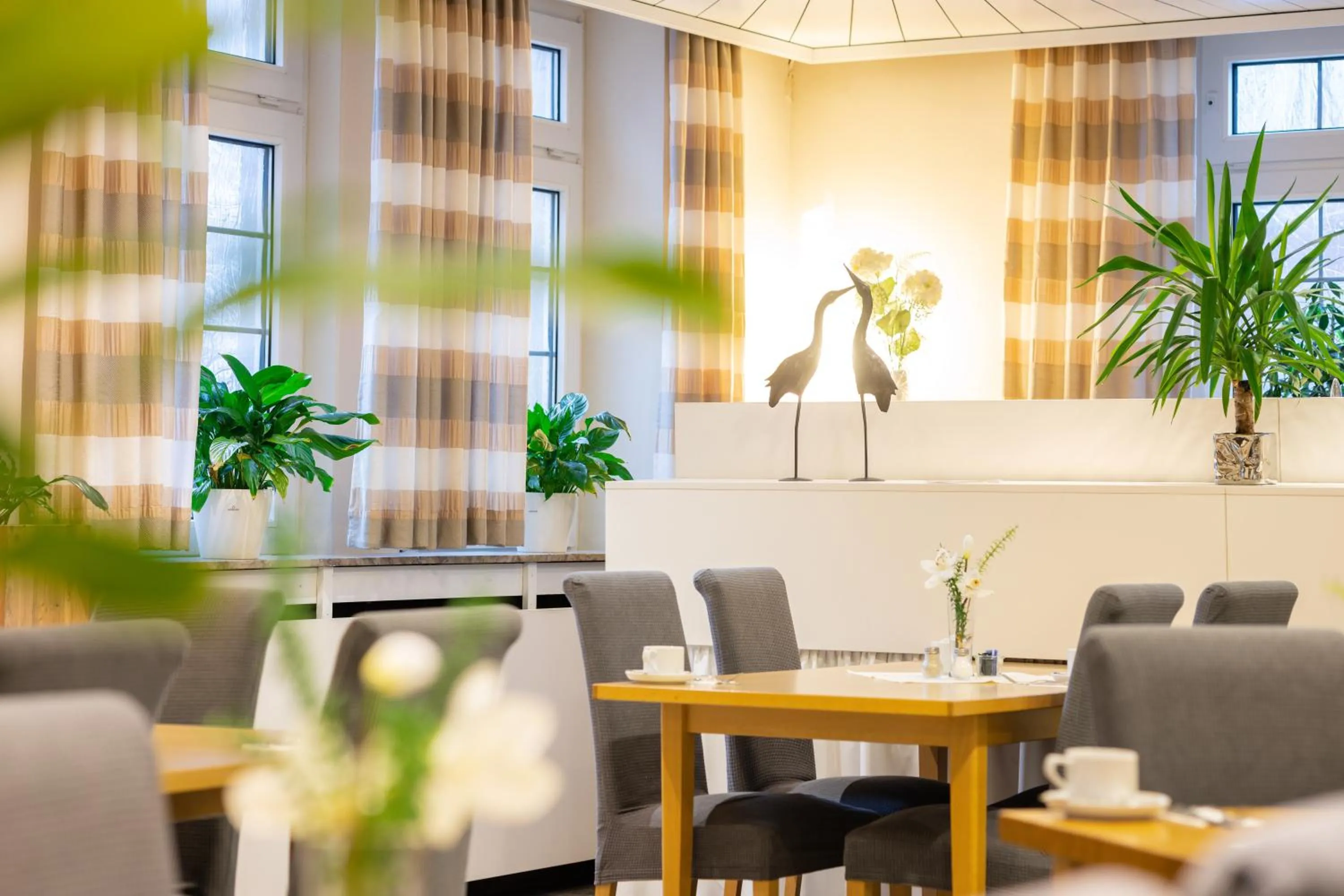 Breakfast in Landhotel Stüer