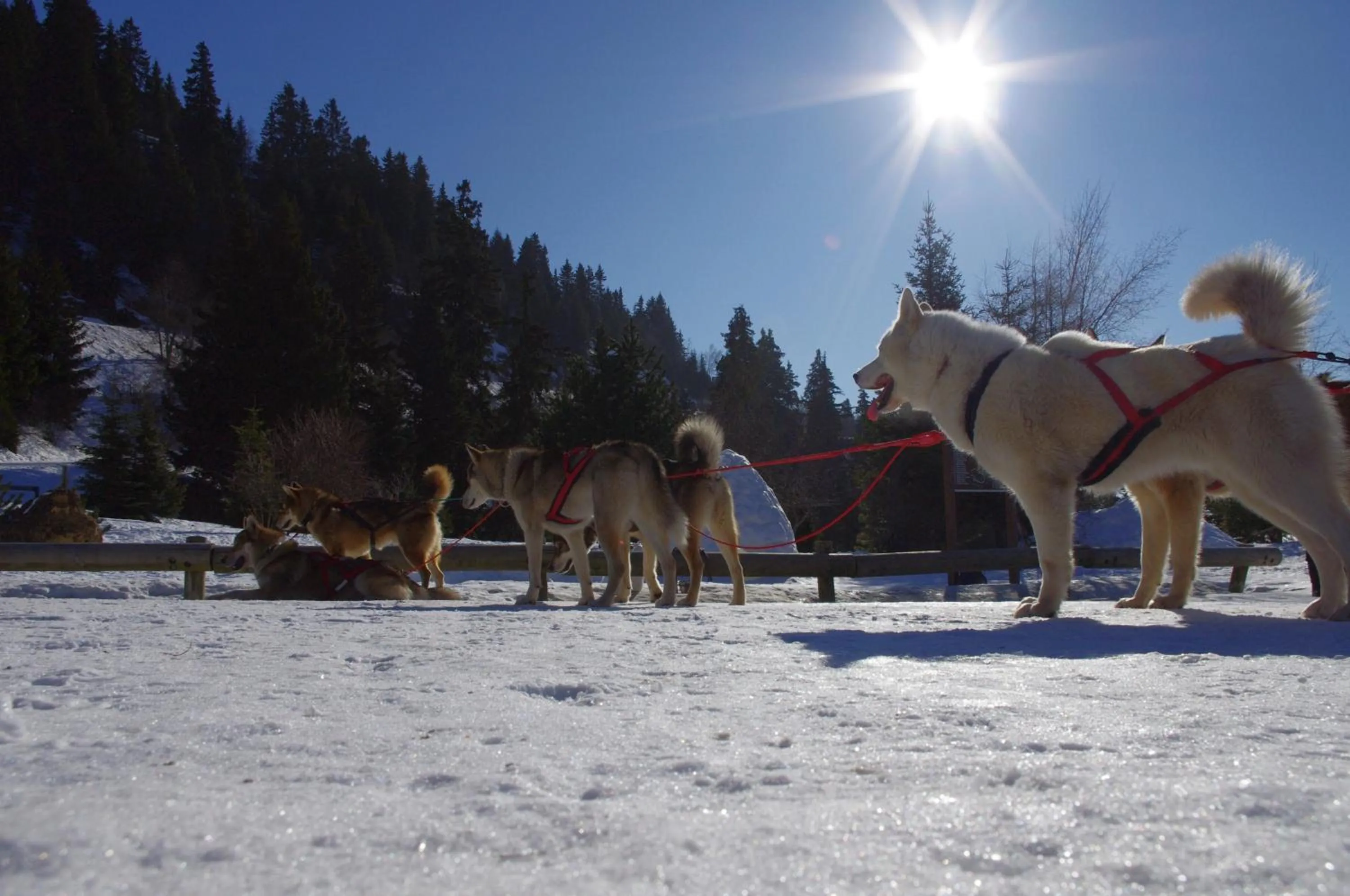 Activities in Auberge Restaurant du Virage